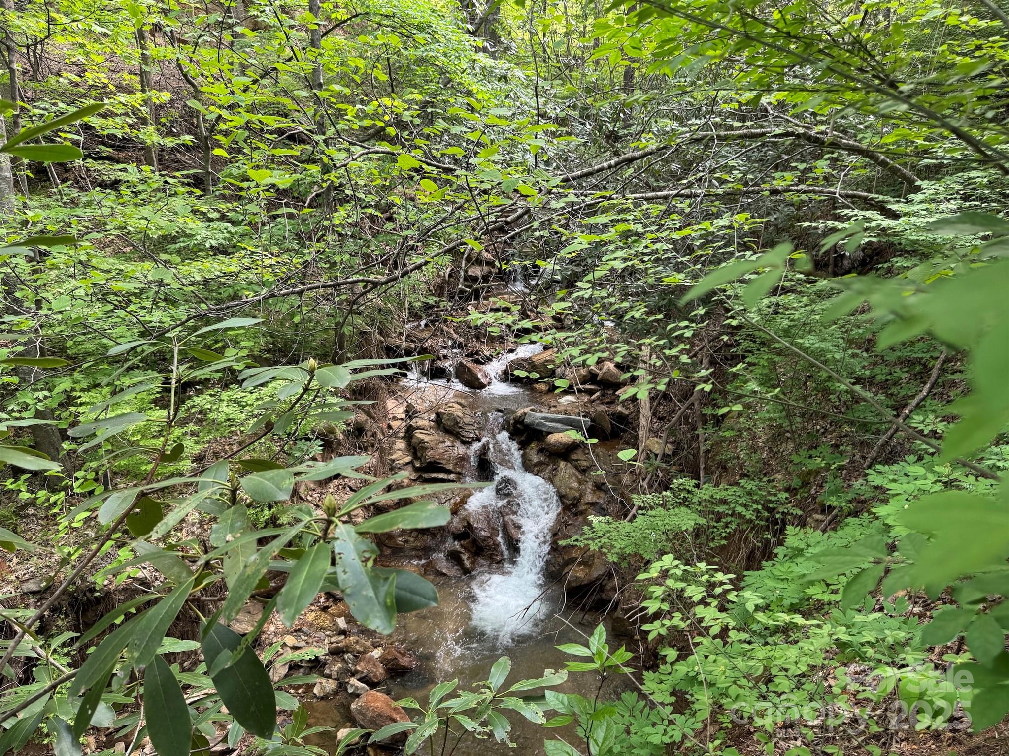 Browning Branch - TBD (A) Chestnut Walk Drive, Waynesville