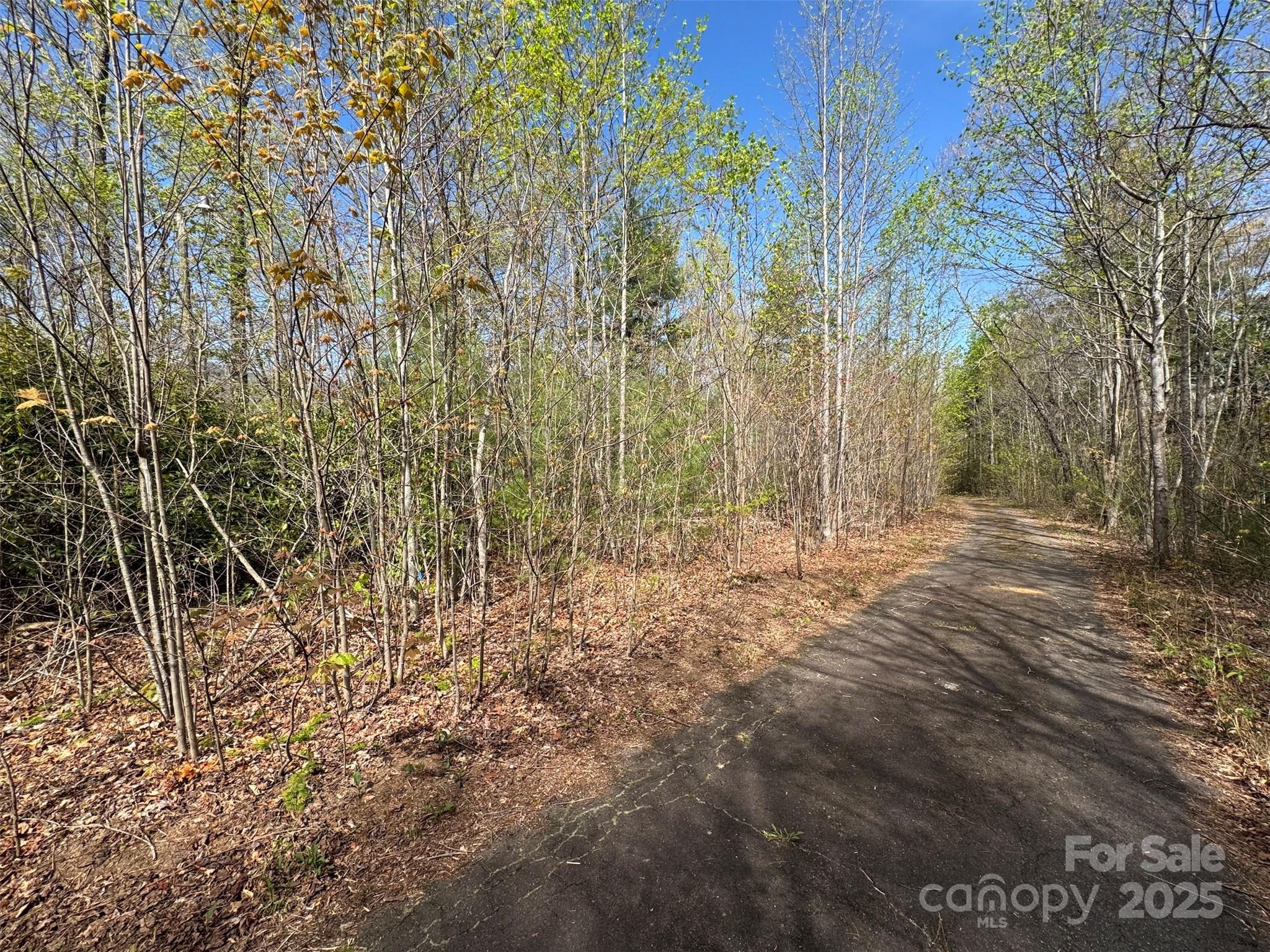 Gentle Ridge top Lots 33/34 - TBD (D) Chestnut Walk Drive, Waynesville