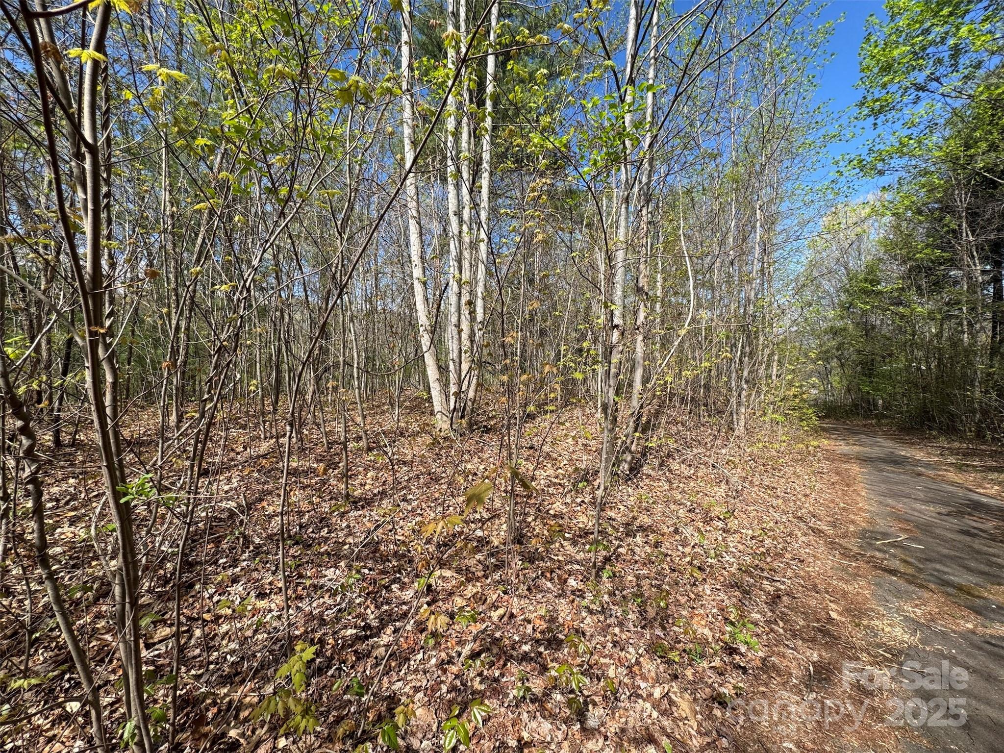 Gentle Ridge top Lots 33/34 - TBD (D) Chestnut Walk Drive, Waynesville
