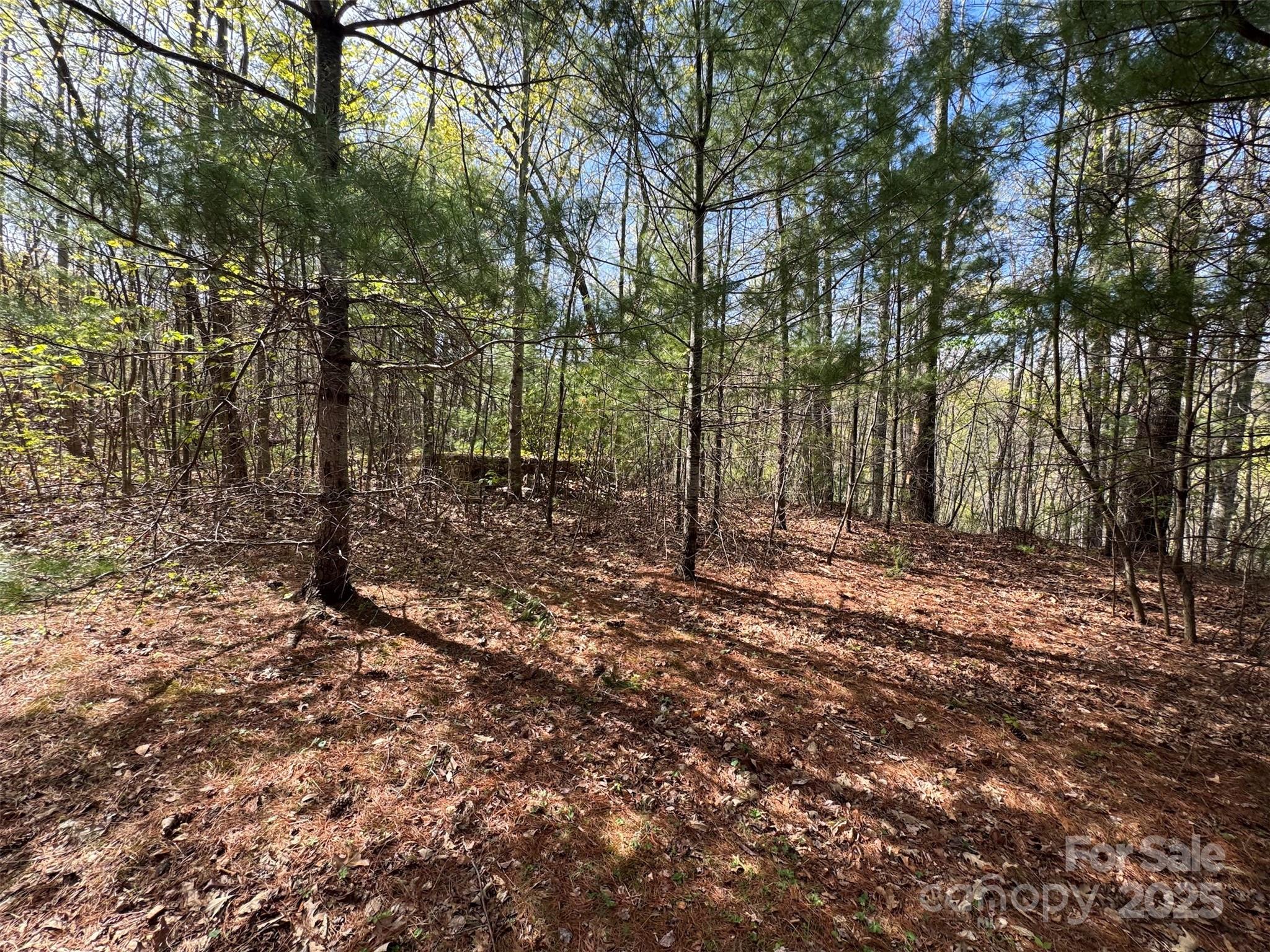 Flat area on lot 33 - TBD (D) Chestnut Walk Drive, Waynesville