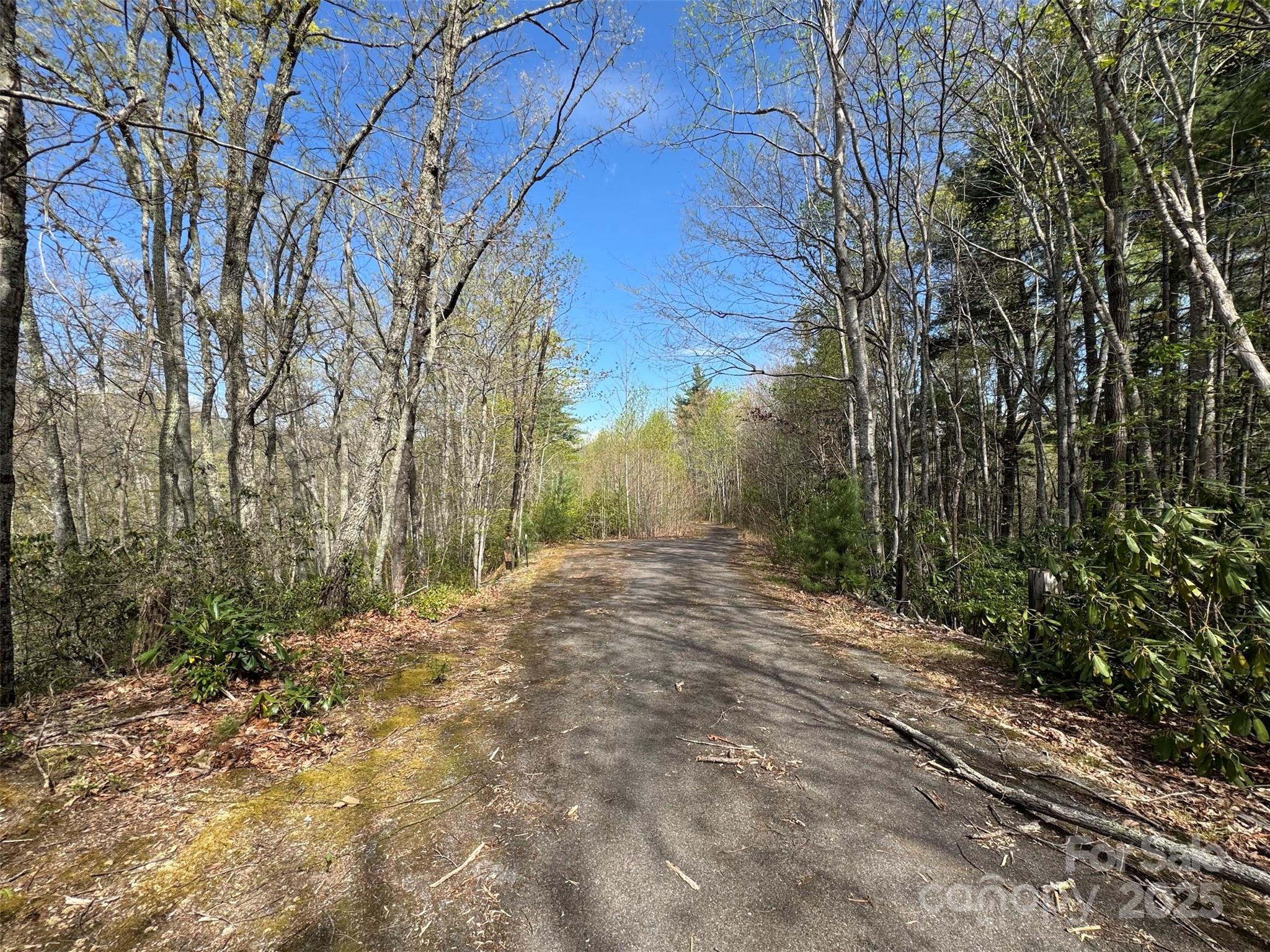 Paved rd along ridge - TBD (D) Chestnut Walk Drive, Waynesville