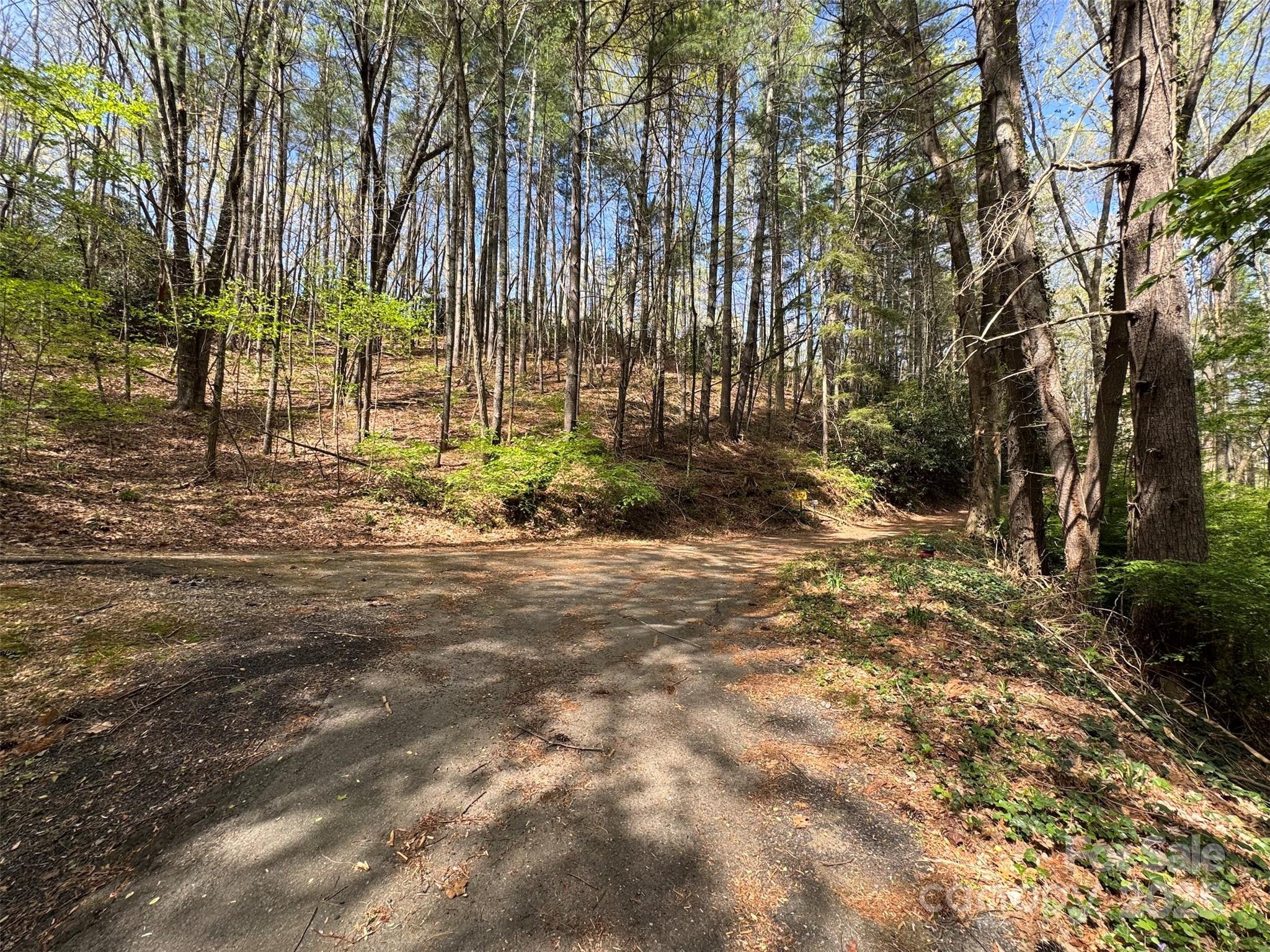 Intersection by lot 11 - TBD (D) Chestnut Walk Drive, Waynesville