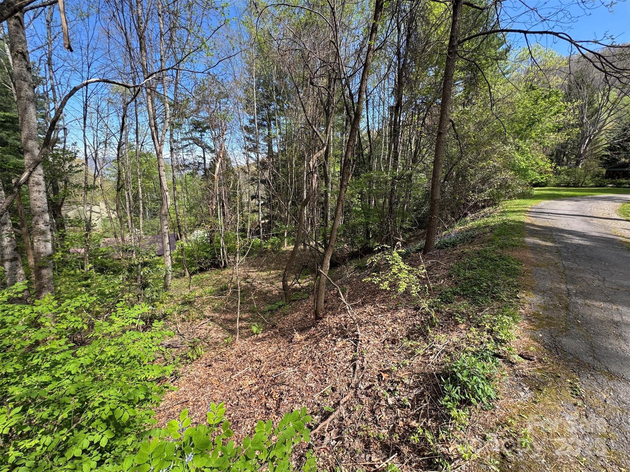 Good building site below road on lot 25 - TBD (D) Chestnut Walk Drive, Waynesville