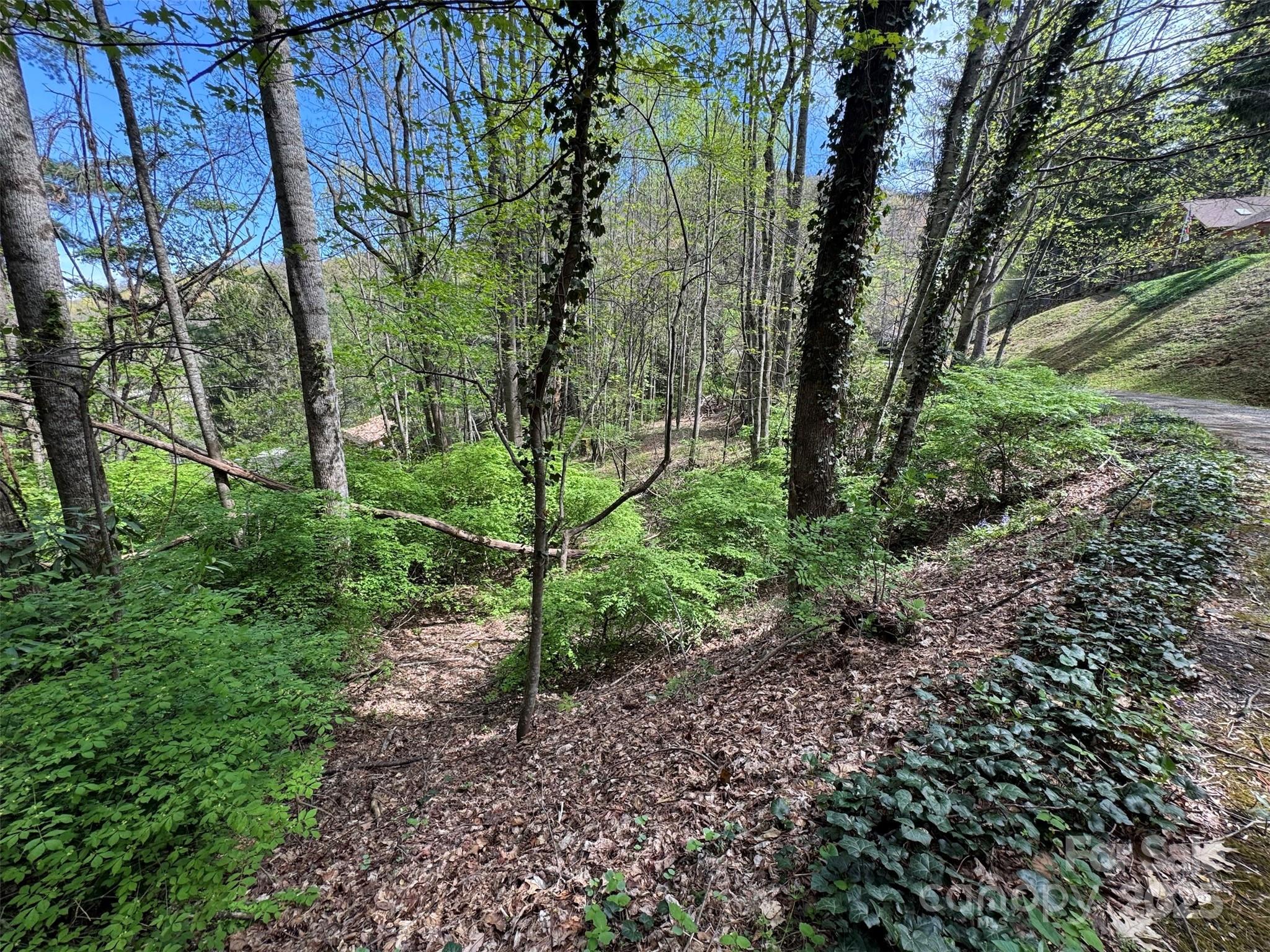 Level area on lot 25 and 26 - TBD (D) Chestnut Walk Drive, Waynesville