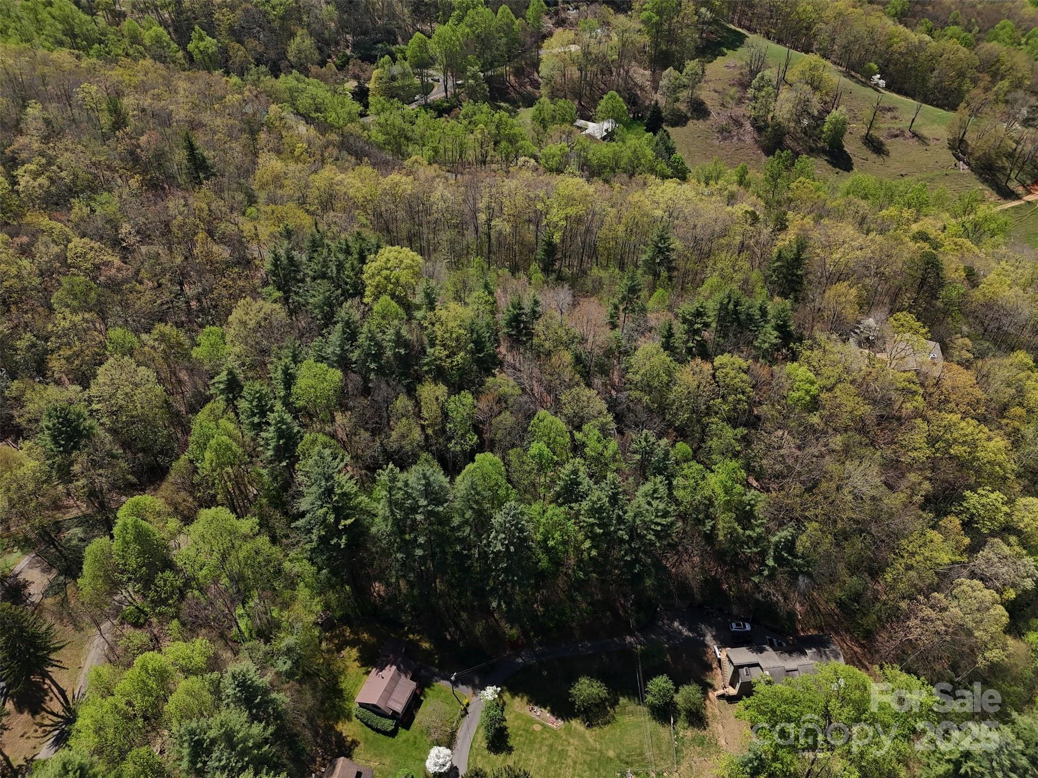 Ridge at top of community - TBD (D) Chestnut Walk Drive, Waynesville