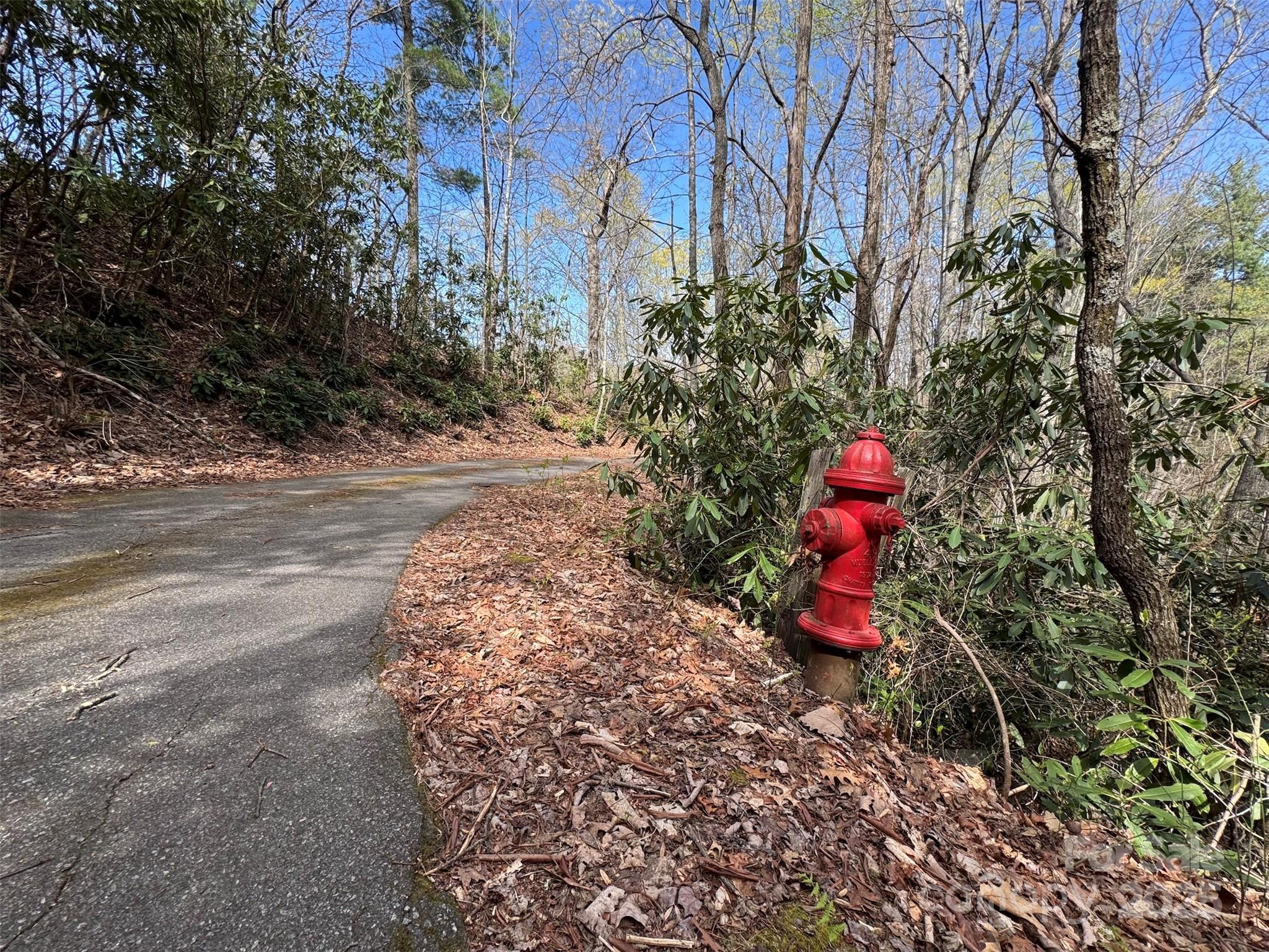 Fire Hydrant near lot 9 - TBD (D) Chestnut Walk Drive, Waynesville