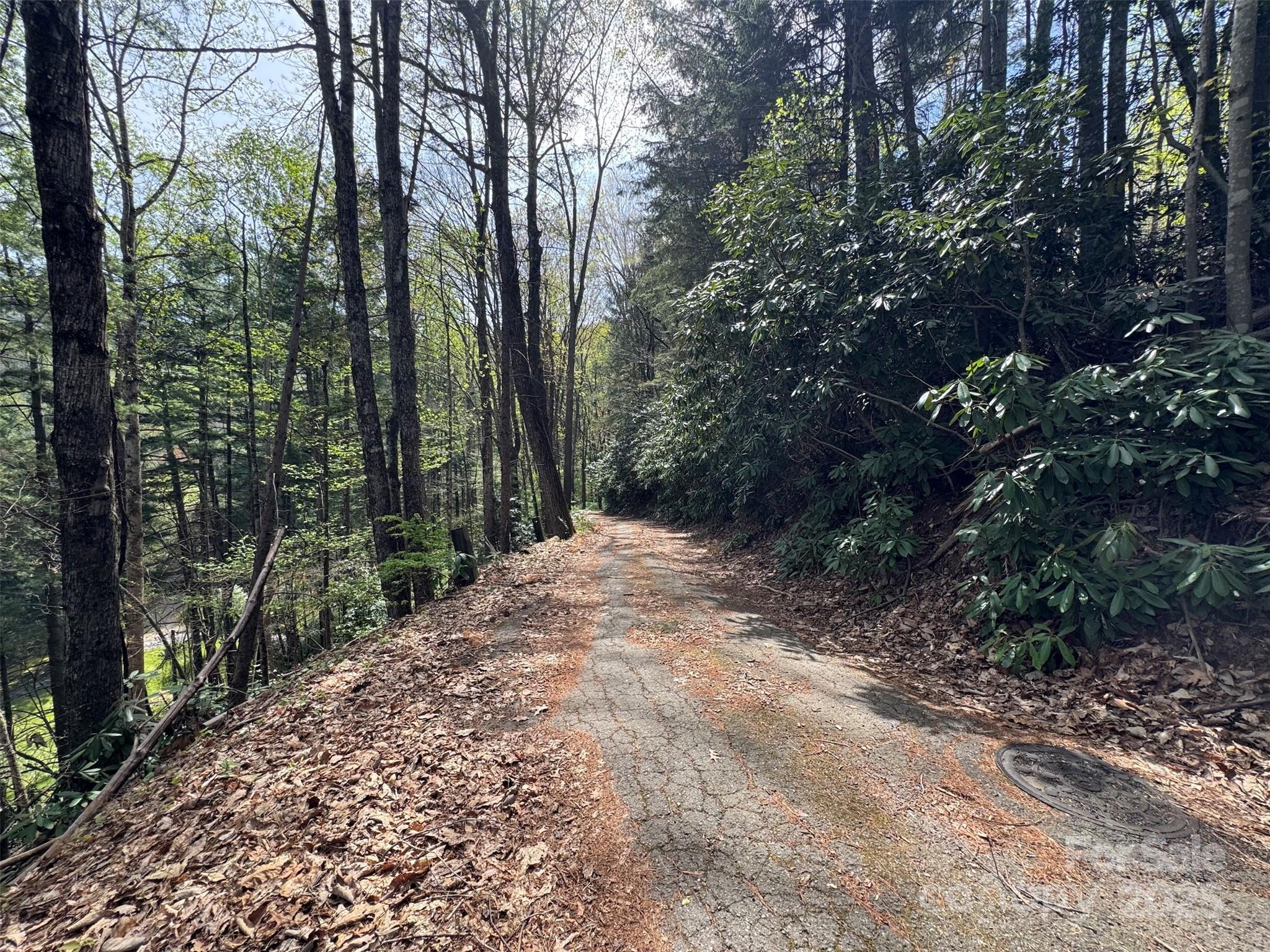 Steeper lots - TBD (D) Chestnut Walk Drive, Waynesville