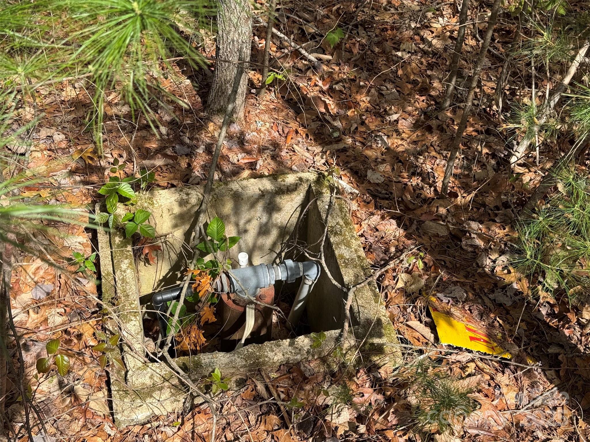 Old well on lot 33 (condition unknown) - TBD (D) Chestnut Walk Drive, Waynesville
