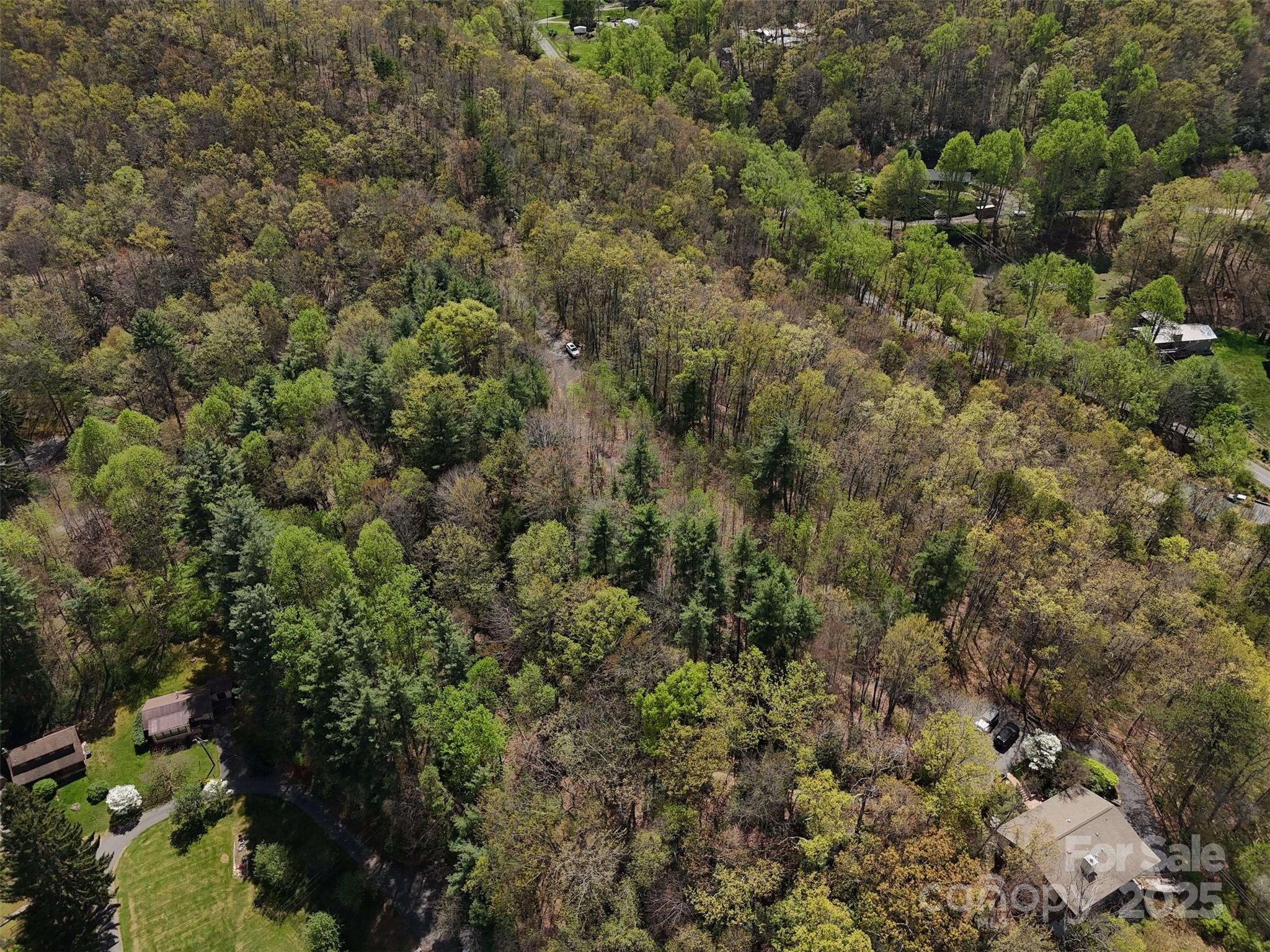 Acreage at TBD (D) Chestnut Walk Drive, Waynesville, photo 18 of 27