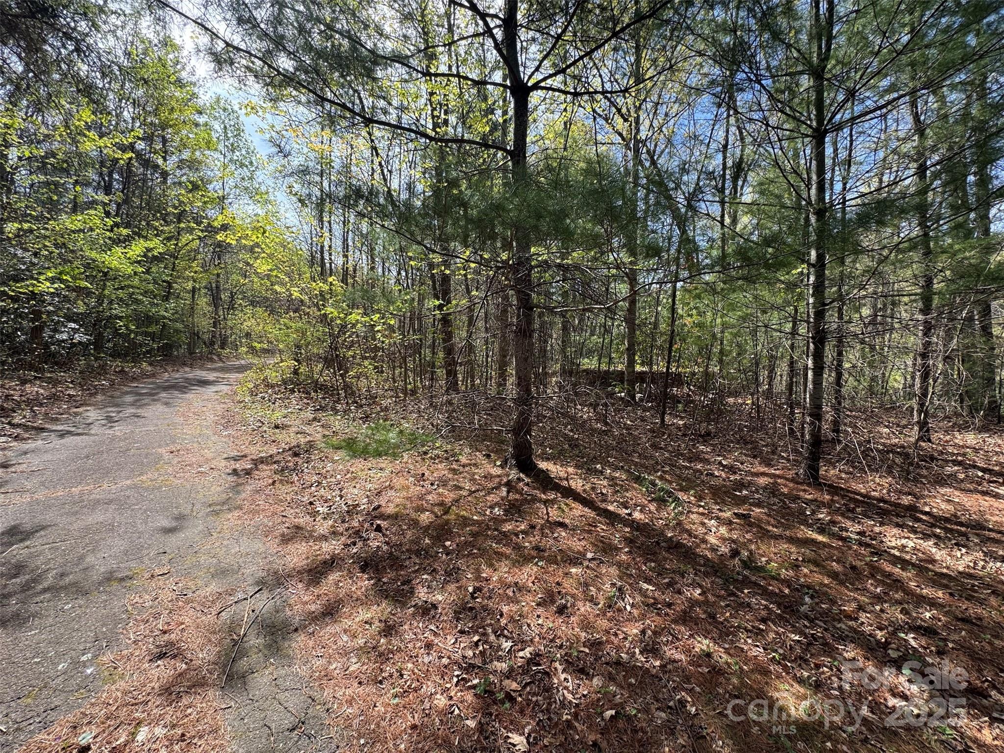 Acreage at TBD (D) Chestnut Walk Drive, Waynesville, photo 19 of 27