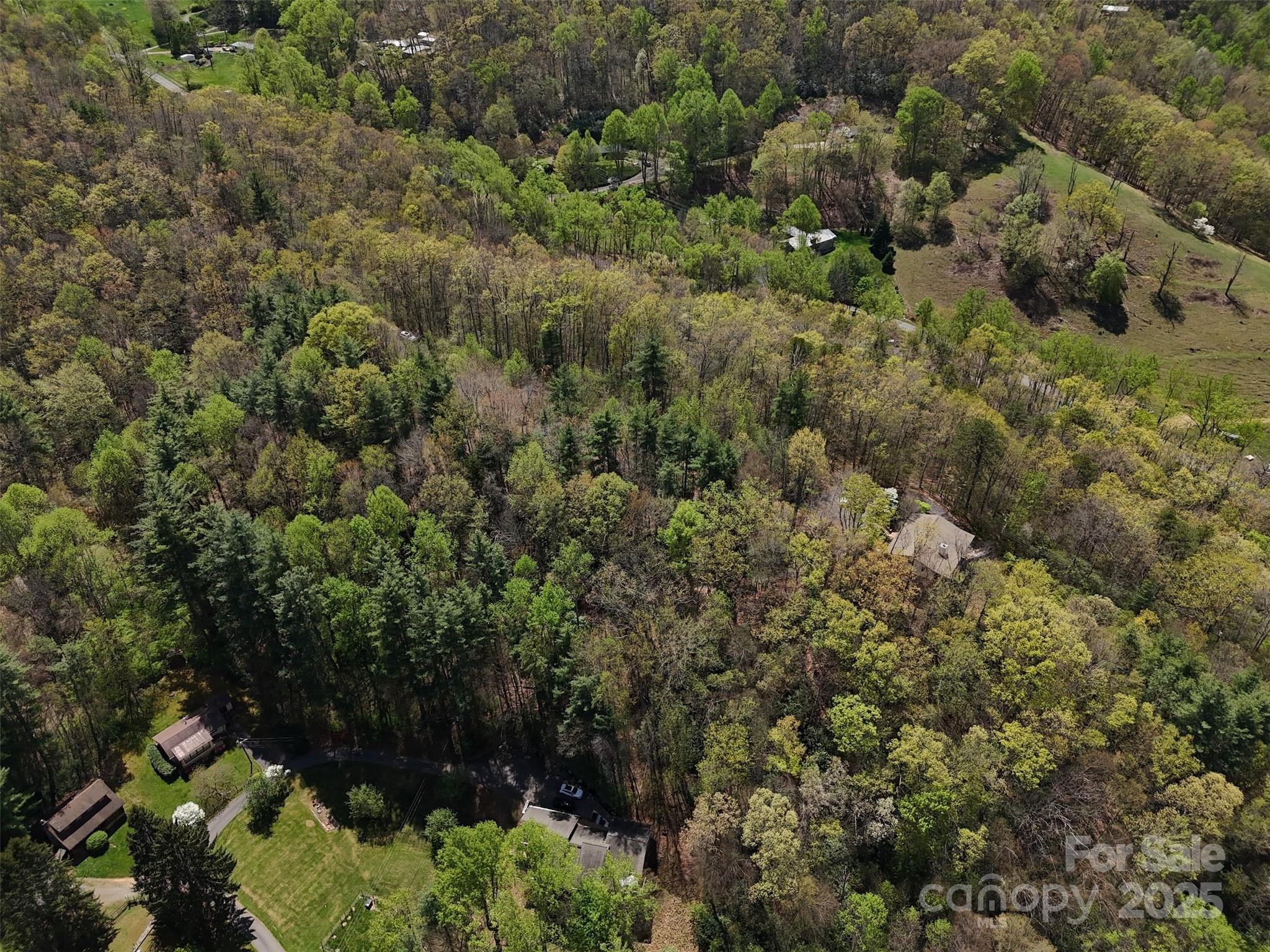 Acreage at TBD (D) Chestnut Walk Drive, Waynesville, photo 20 of 27
