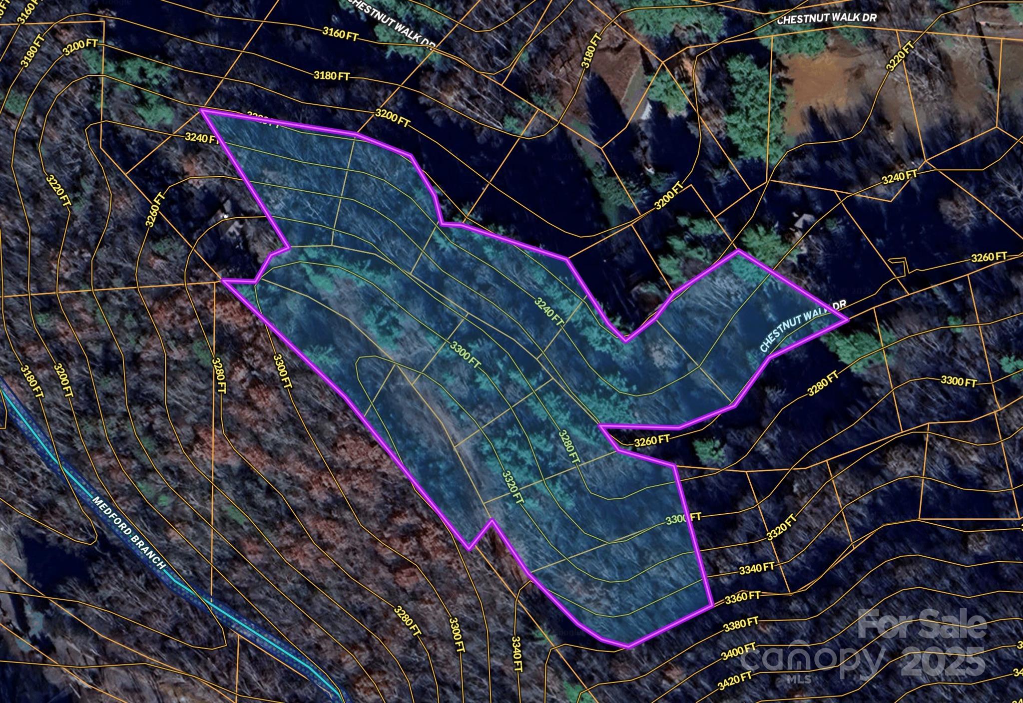 Topo map - TBD (D) Chestnut Walk Drive, Waynesville