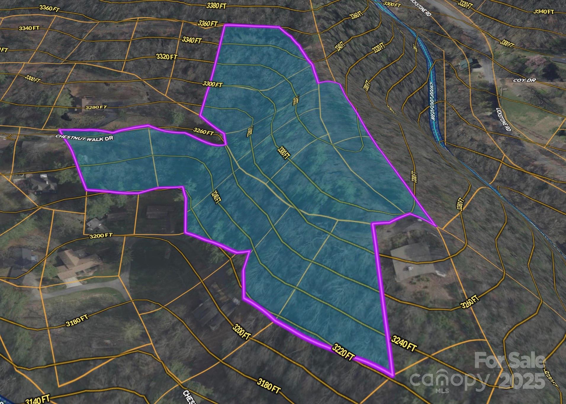 Several nice building options on ridge and in valley 3D Redering - TBD (D) Chestnut Walk Drive, Waynesville