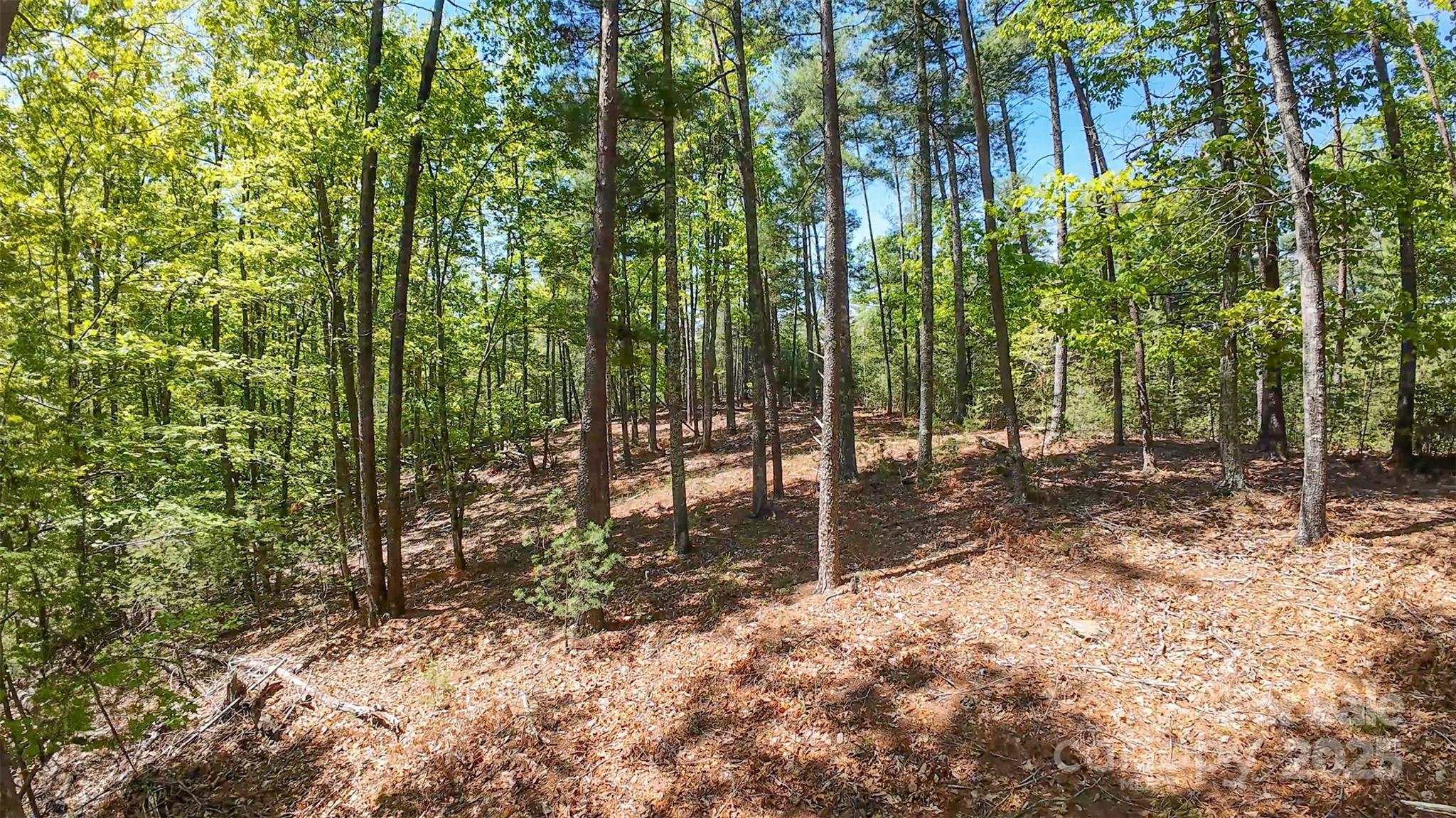Lot at 46 Osprey Roost Drive, Nebo, photo 2 of 28