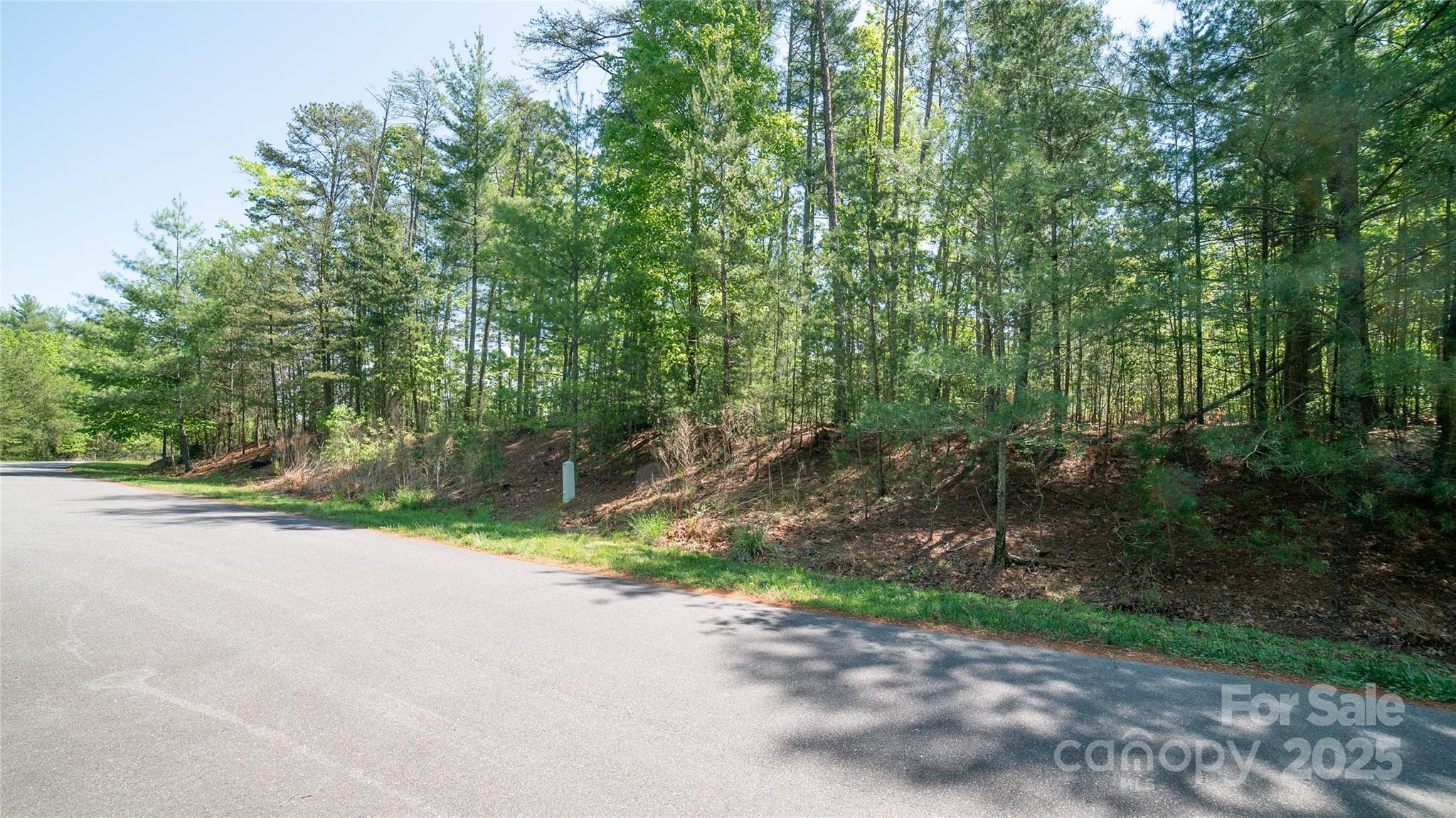 Lot at 46 Osprey Roost Drive, Nebo, photo 8 of 28