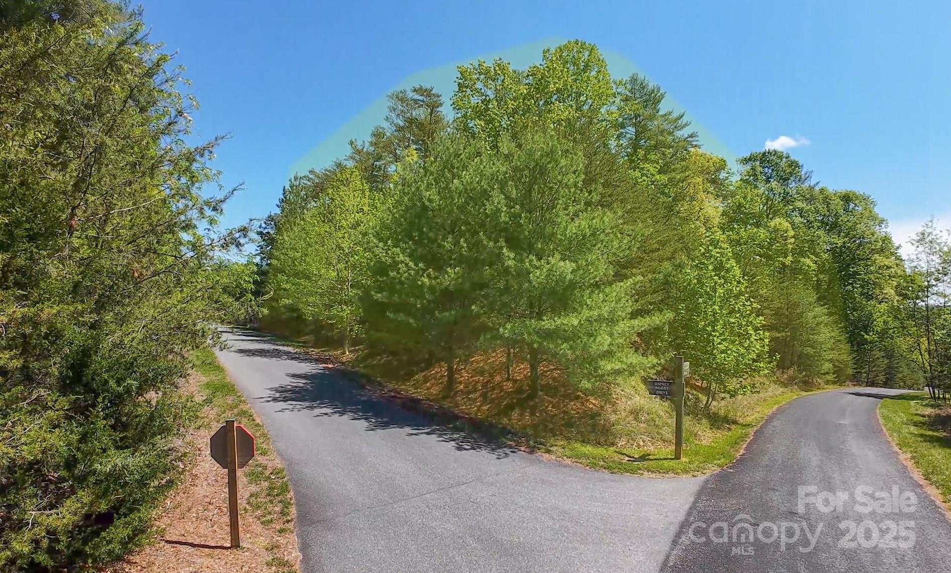 Lot at 46 Osprey Roost Drive, Nebo, photo 9 of 28