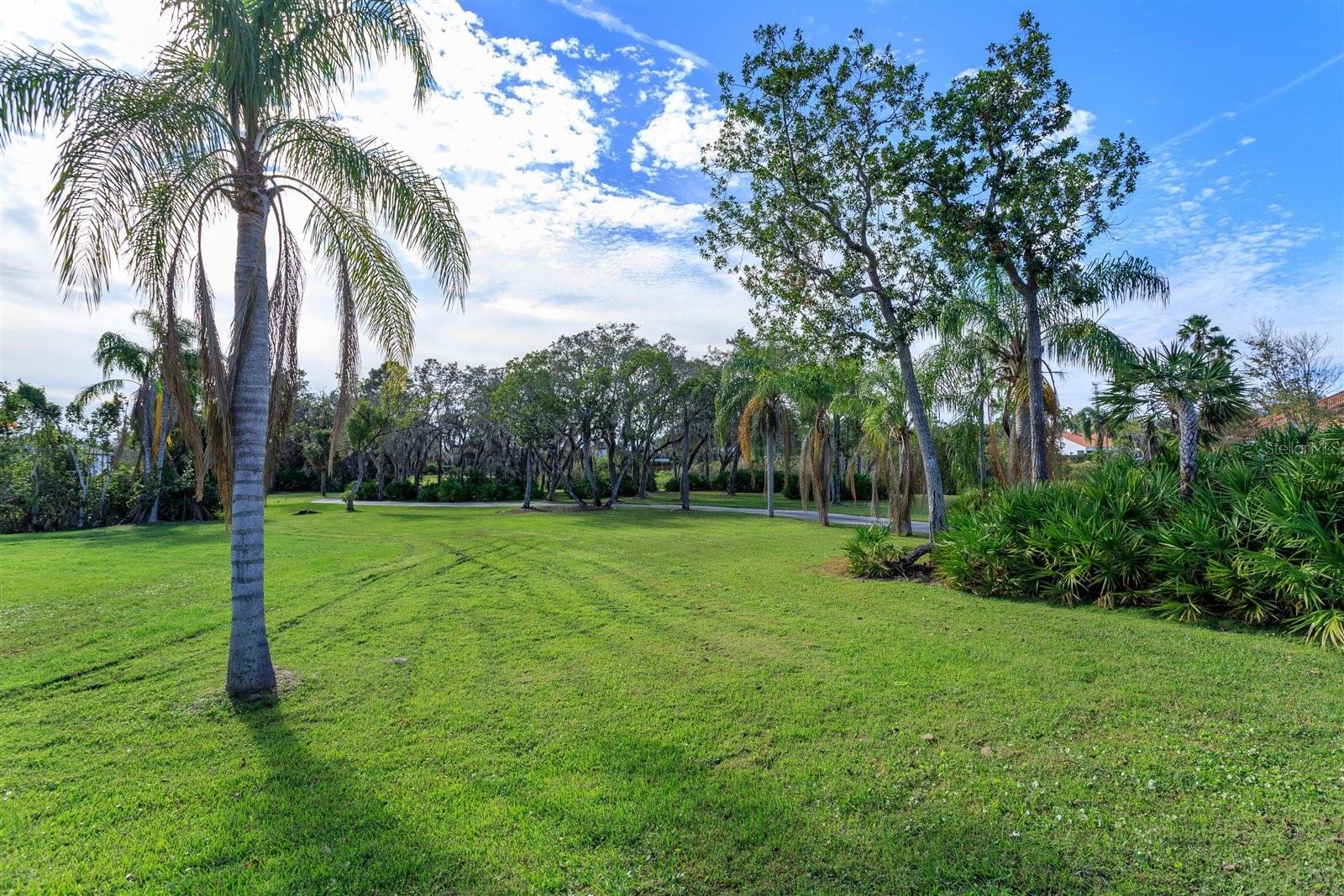 Land at 13377 LAKE BUTLER BLVD, WINTER GARDEN, photo 9 of 19