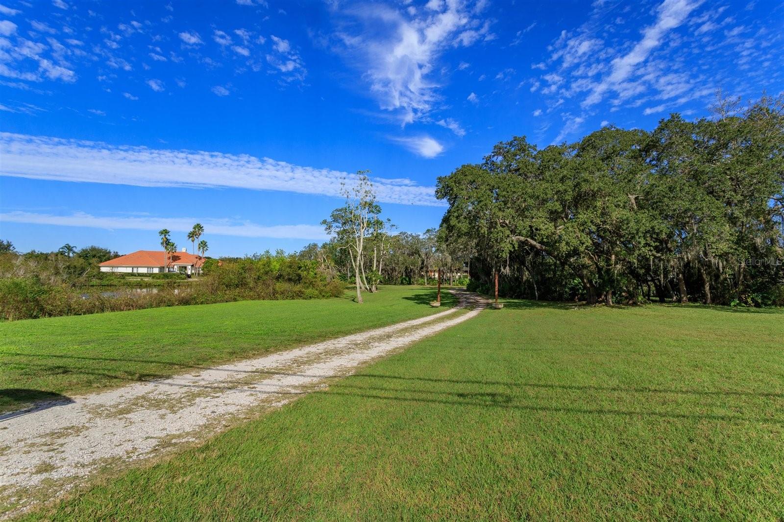 Land at 13377 LAKE BUTLER BLVD, WINTER GARDEN, photo 13 of 19