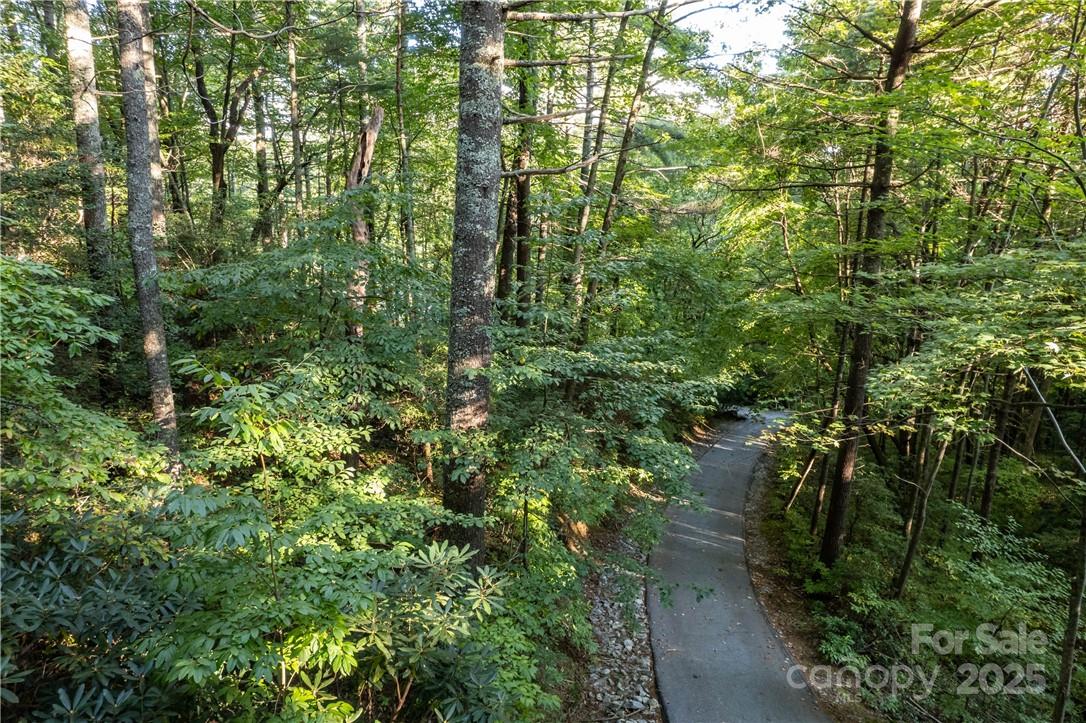 Lot at J 29 Cherokee Trace, Lake Toxaway, photo 7 of 22