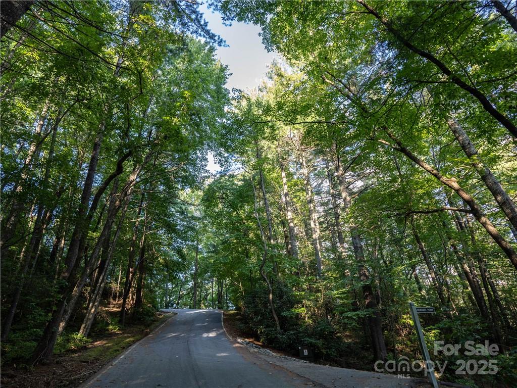 Lot at J 29 Cherokee Trace, Lake Toxaway, photo 18 of 22