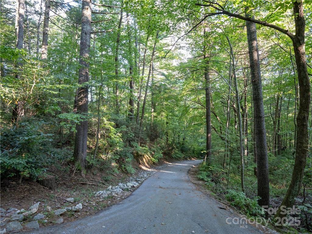 Lot at J 29 Cherokee Trace, Lake Toxaway, photo 19 of 22