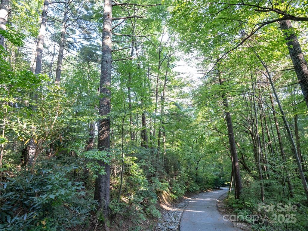 Lot at J 29 Cherokee Trace, Lake Toxaway, photo 20 of 22