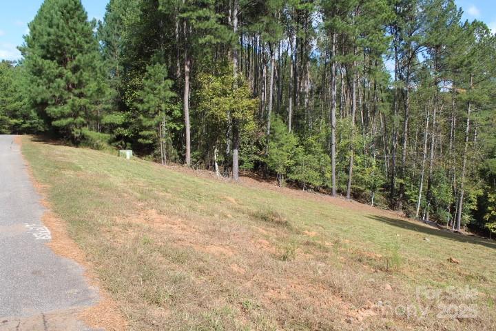 Left side of property. - 5832 Kaylee Ann Drive, Granite Falls