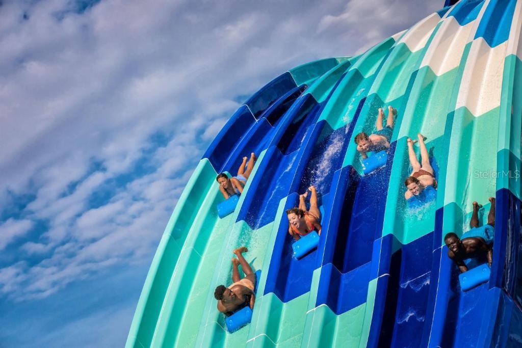 Exciting water slides at Island H2O Water Park near Disney in Kissimmee Florida - 2988 SALTED RIM RD, KISSIMMEE