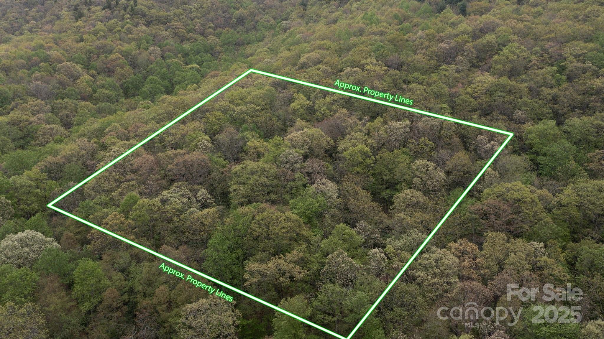 Lot lines approximate. Overhead view of Land behind 658 Clear Creek Rd in Burnsville - TBD Clear Creek Road, Burnsville