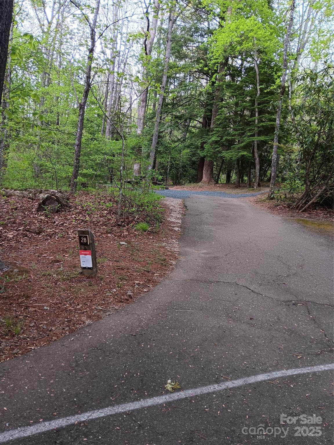 Campsite at Carolina Hemlocks Campground, Pisgah National Forest - approximately 2 miles from land - TBD Clear Creek Road, Burnsville