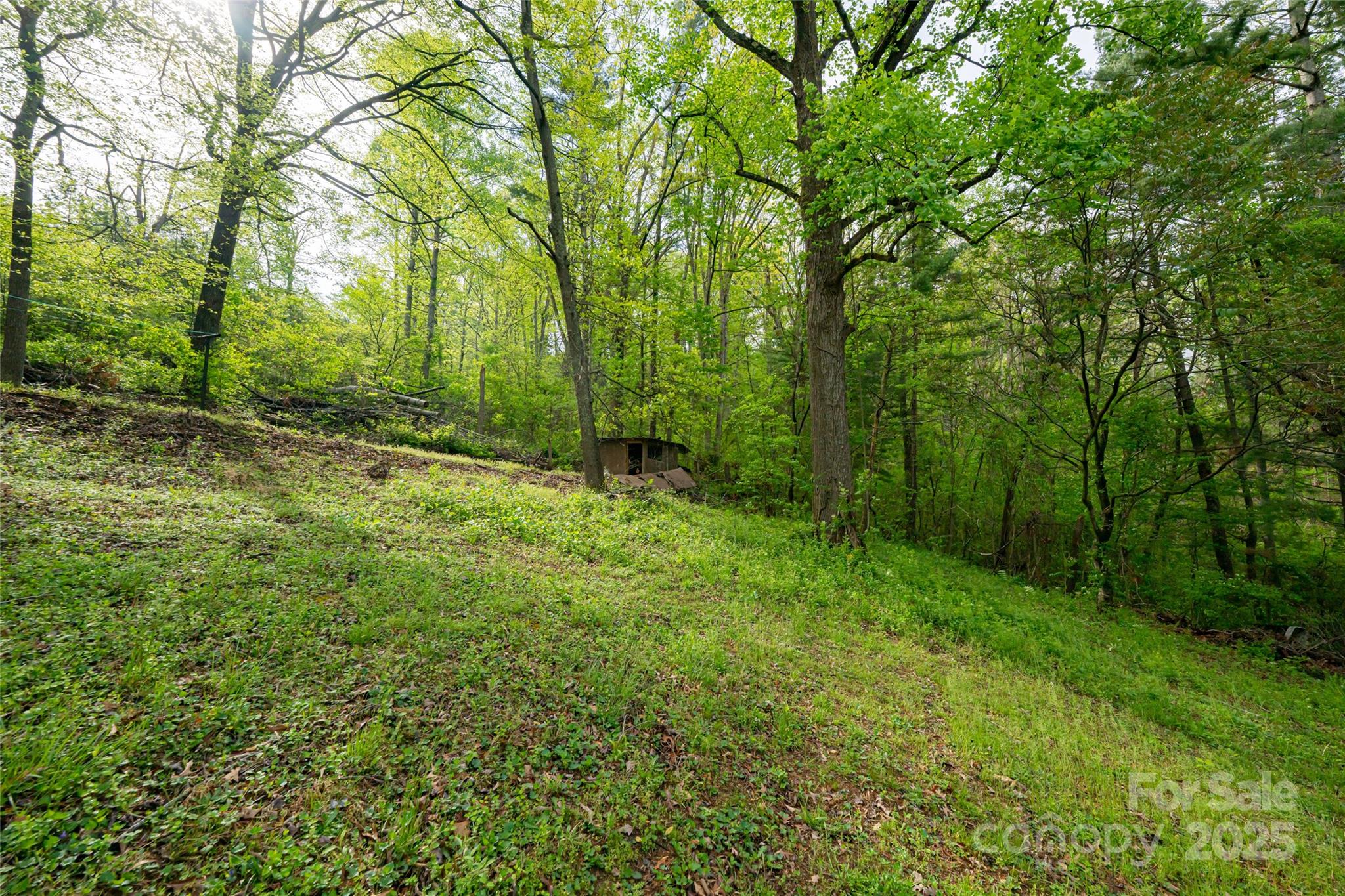 Single Family Residence at 25 Coal Creek Lane, Weaverville, photo 12 of 29