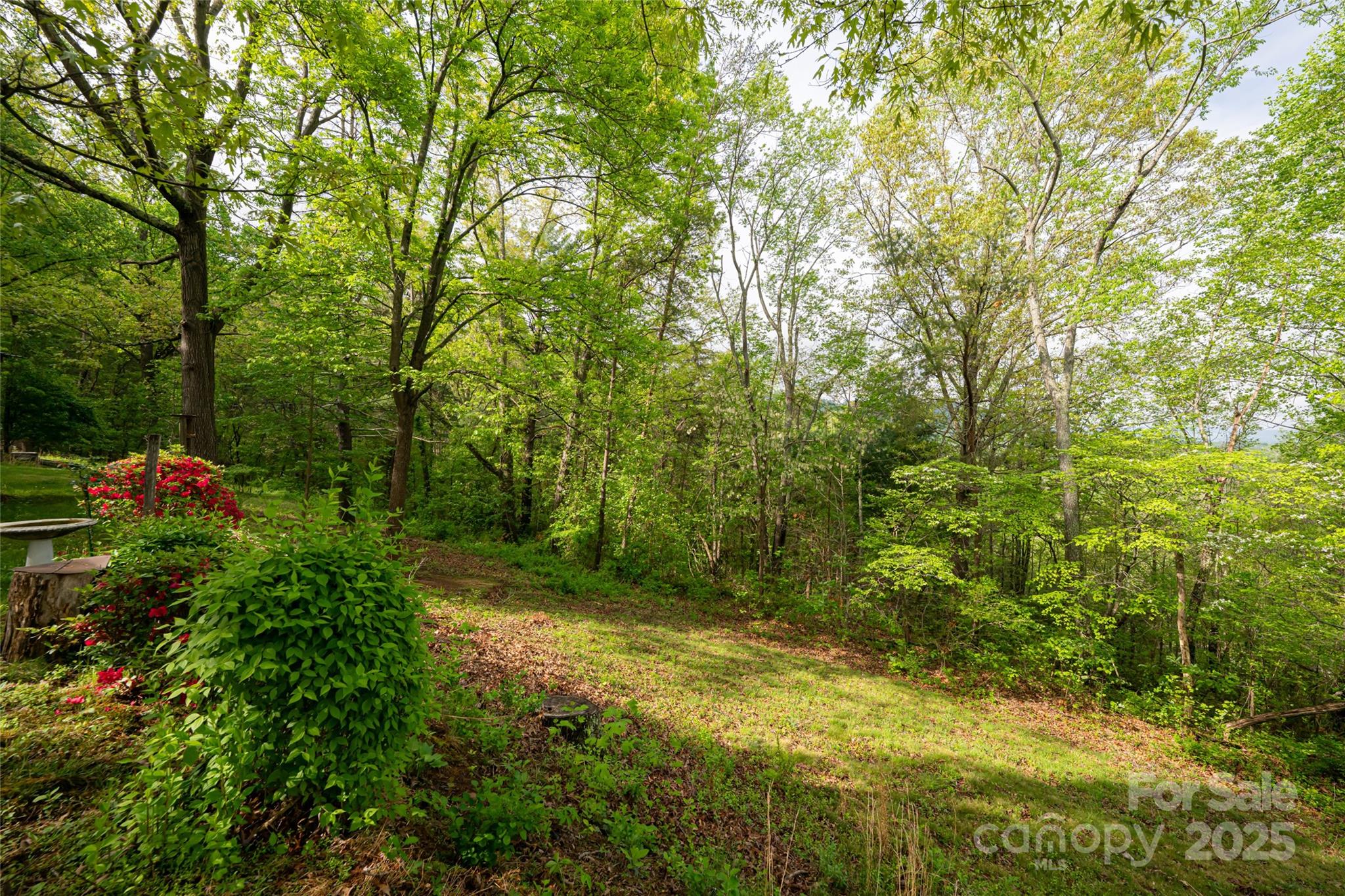 Single Family Residence at 25 Coal Creek Lane, Weaverville, photo 21 of 29