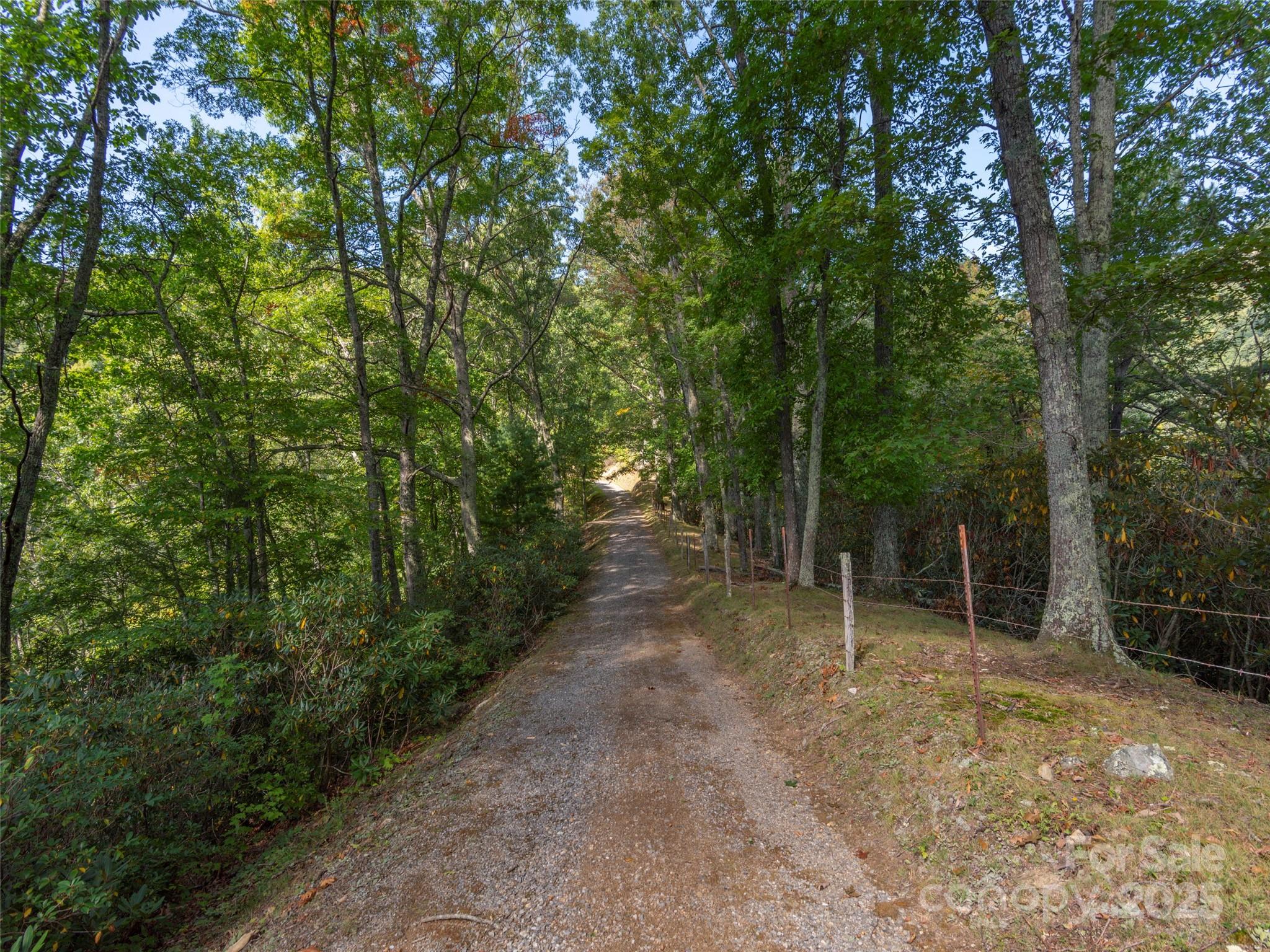 Acreage at 0 Clark Road, Clyde, photo 13 of 17
