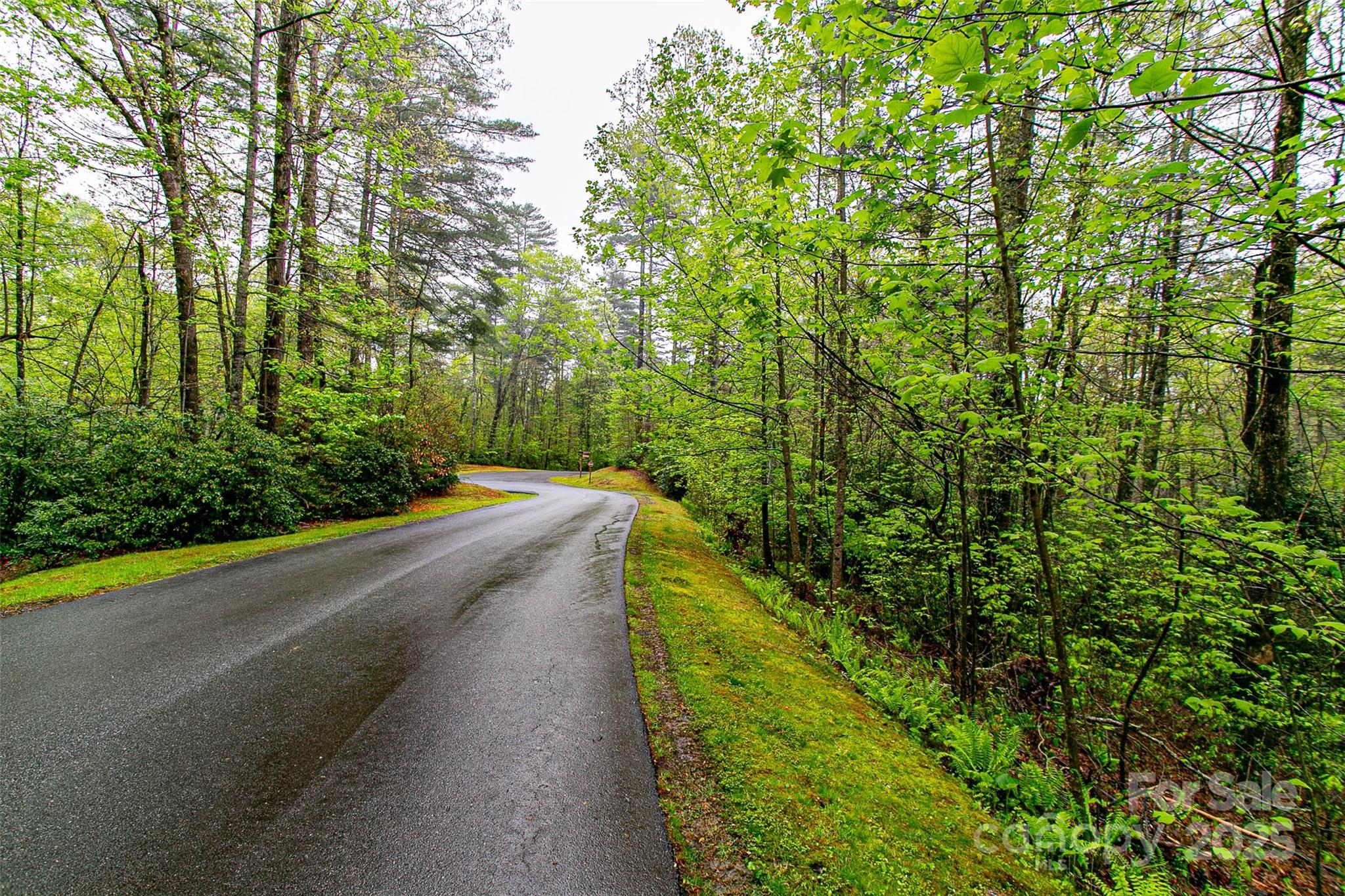 TBD High Hemlock Trail
