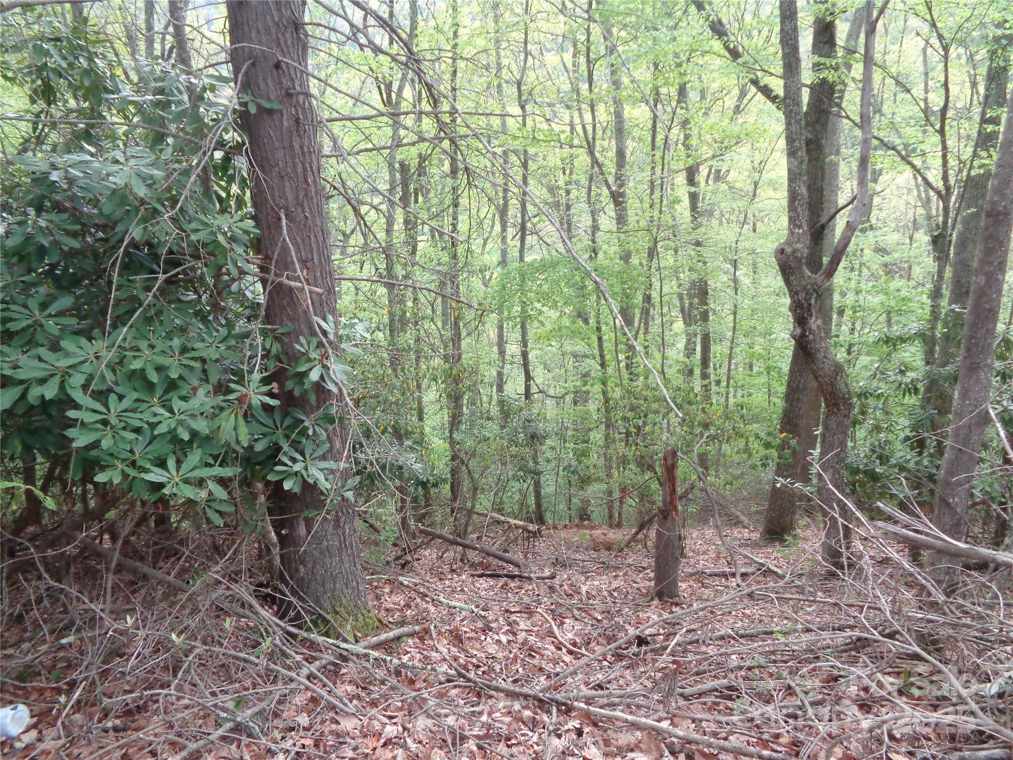 Lot at 00 Promiseland Road, Canton, photo 3 of 23