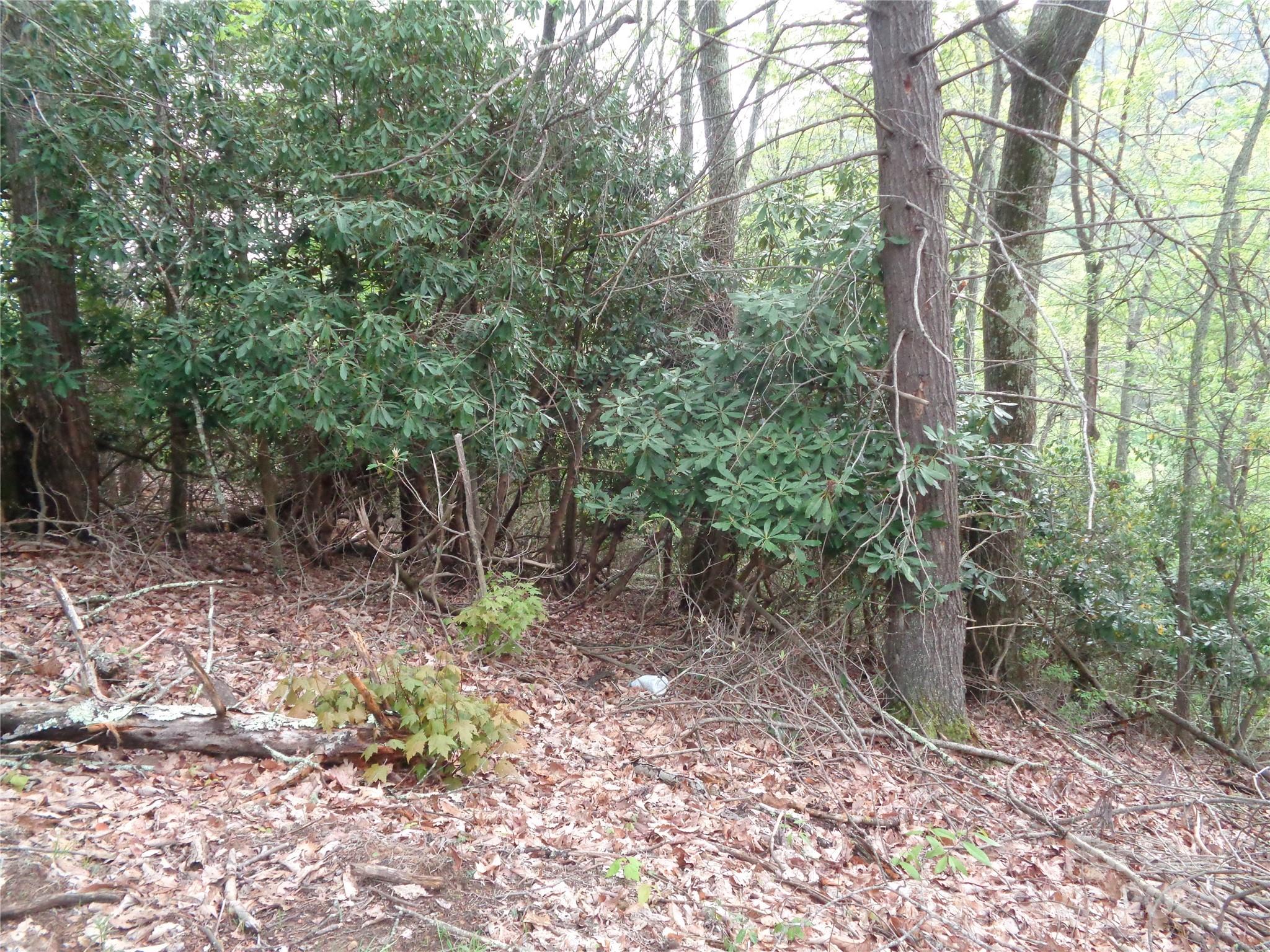 Lot at 00 Promiseland Road, Canton, photo 6 of 23