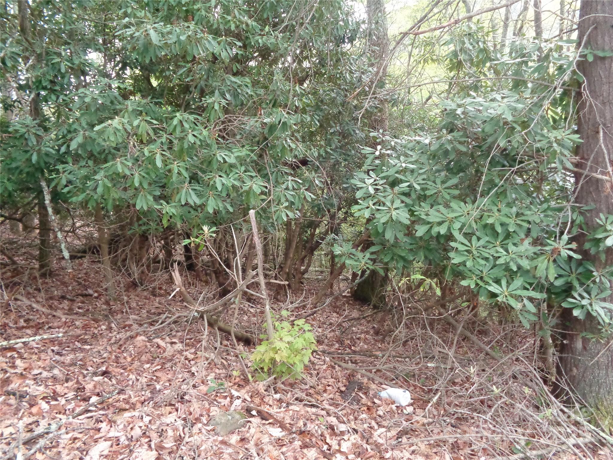 Lot at 00 Promiseland Road, Canton, photo 8 of 23