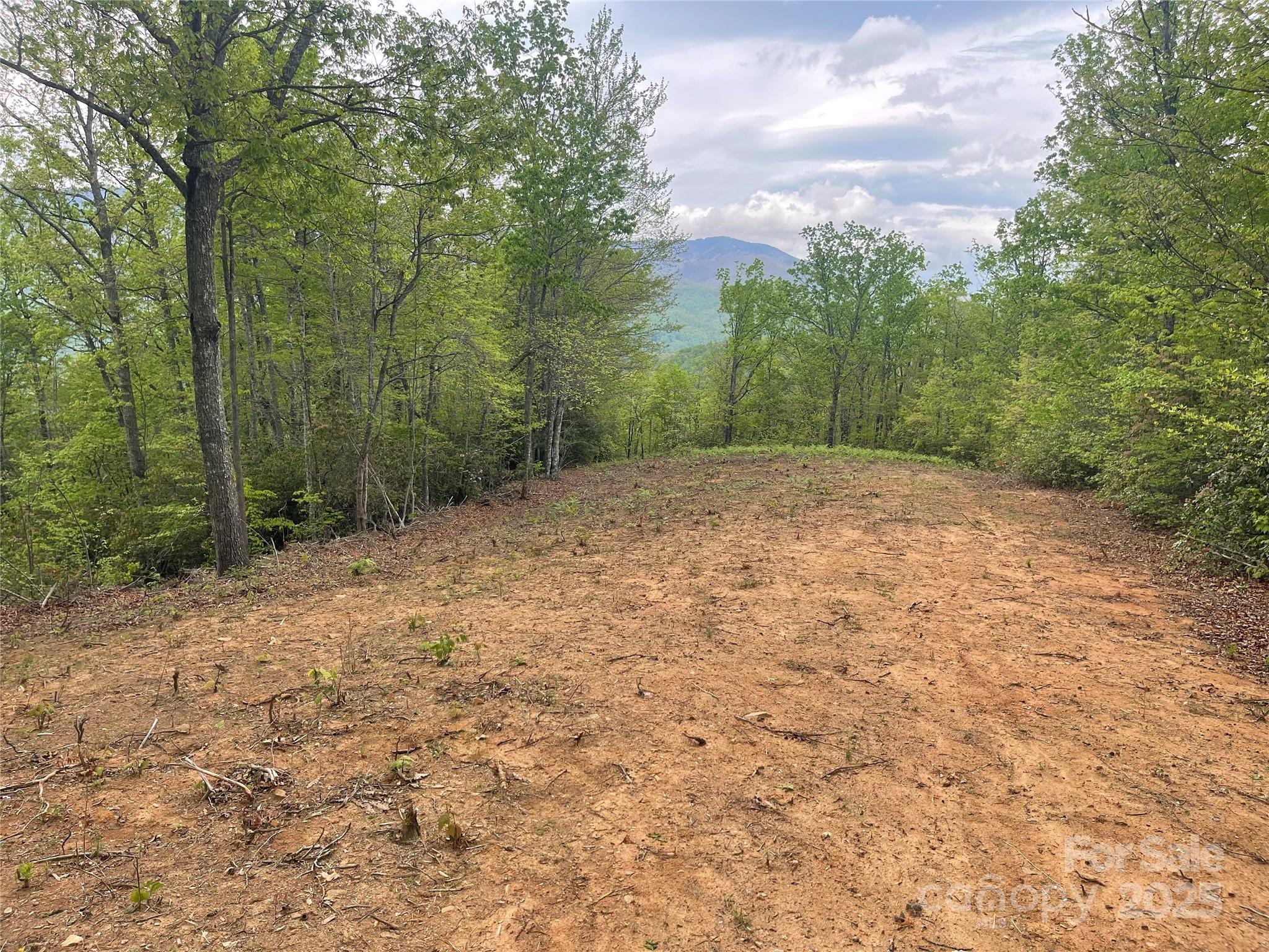 Acreage at 930 Copperhead Cove, Sylva, photo 36 of 48