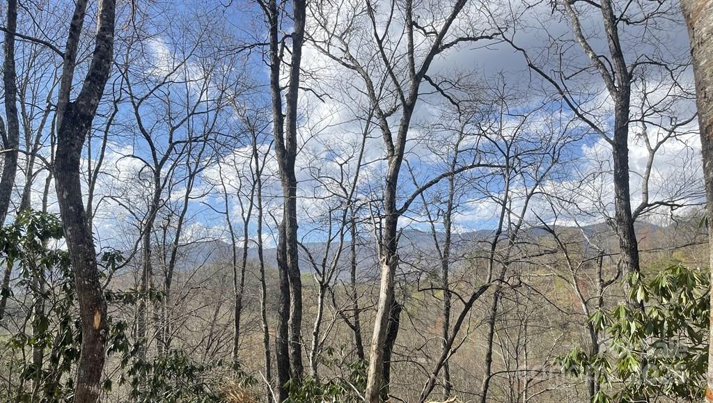 Acreage at 930 Copperhead Cove, Sylva, photo 41 of 48