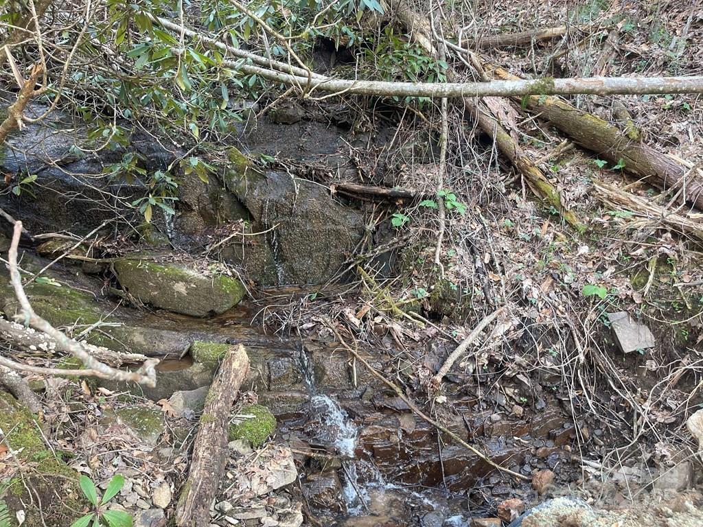 Acreage at 930 Copperhead Cove, Sylva, photo 42 of 48
