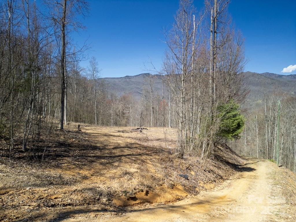 Acreage at 930 Copperhead Cove, Sylva, photo 46 of 48