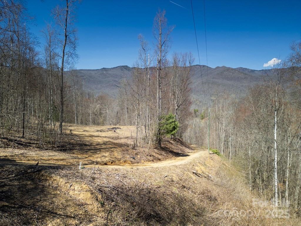 Acreage at 930 Copperhead Cove, Sylva, photo 47 of 48