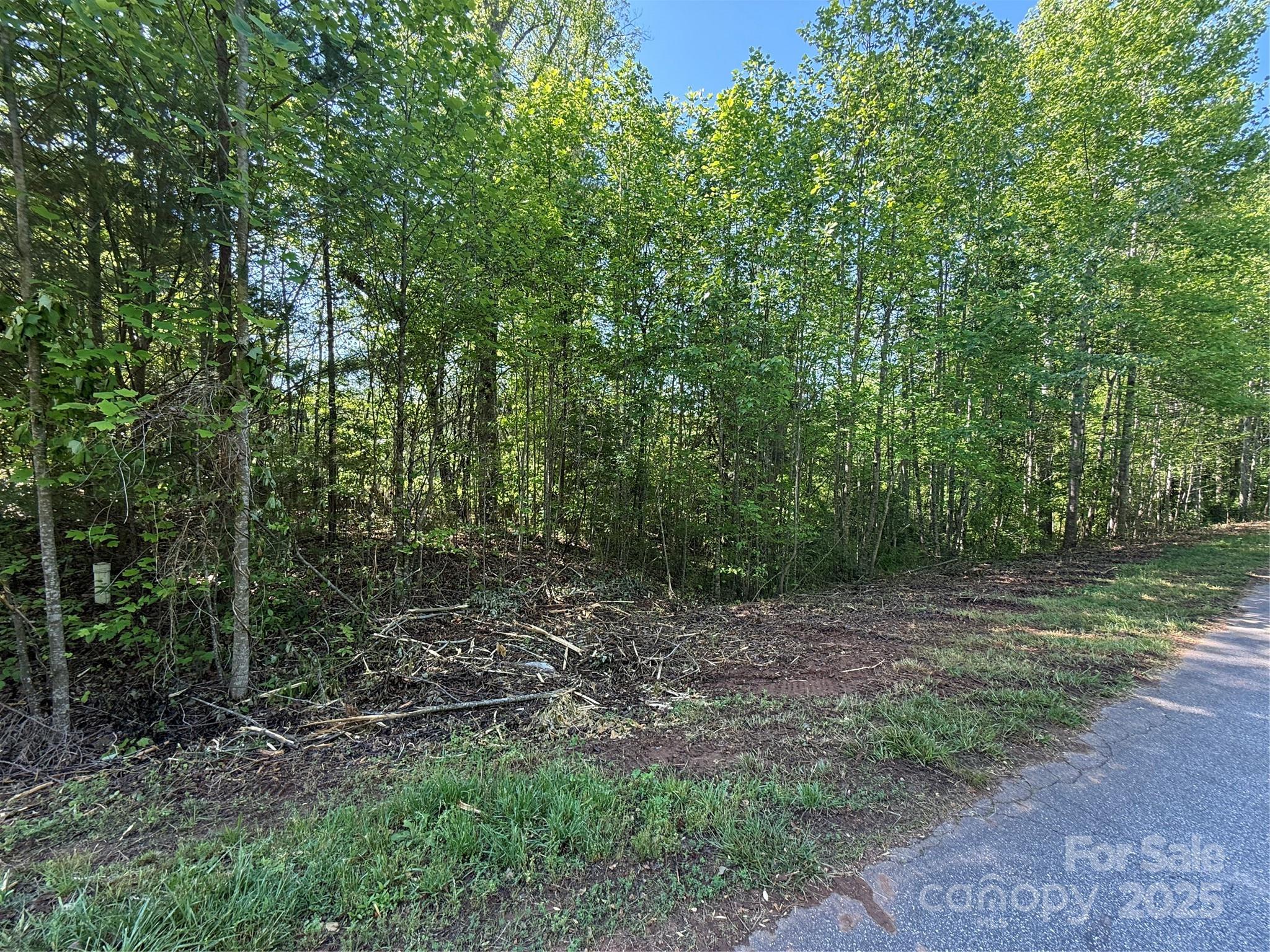 Lot at Lot 248 RILEY Drive, Taylorsville, photo 2 of 4