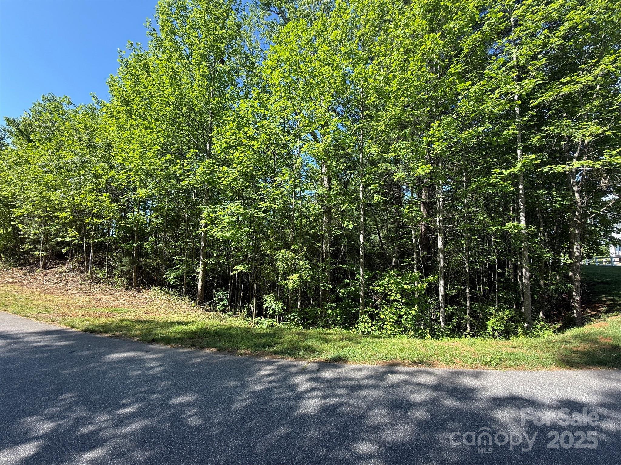 Lot at Lot 280 WHITMAN Court, Taylorsville, photo 2 of 4