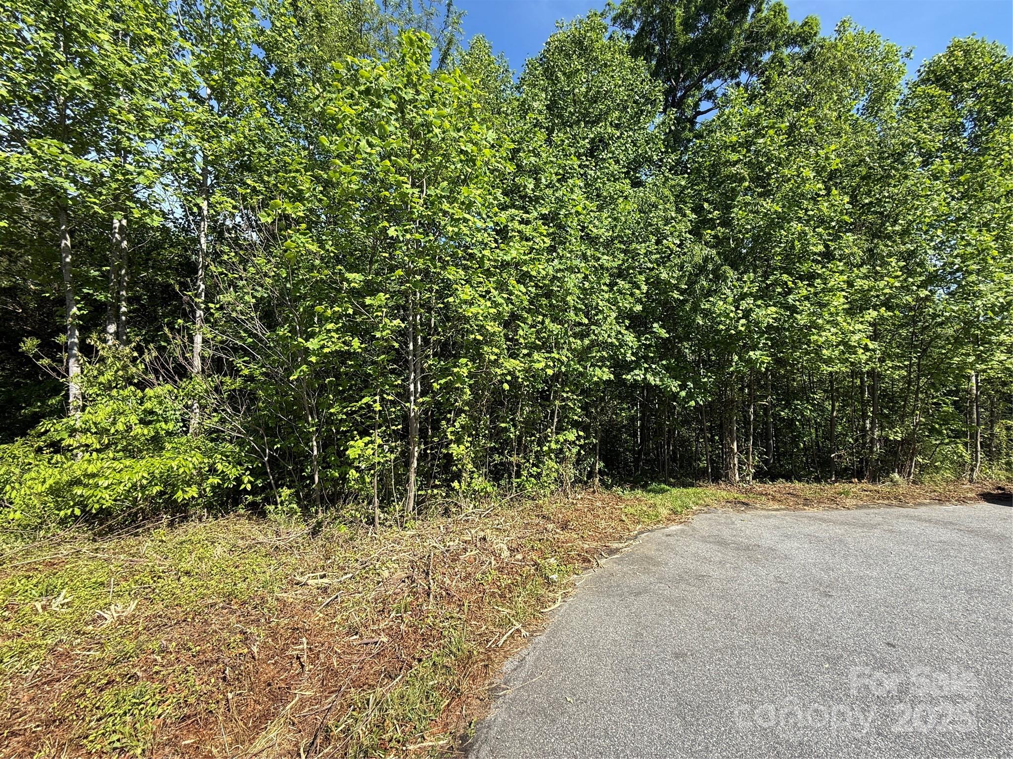 Lot at Lot 263 RILEY Drive, Taylorsville, photo 2 of 4