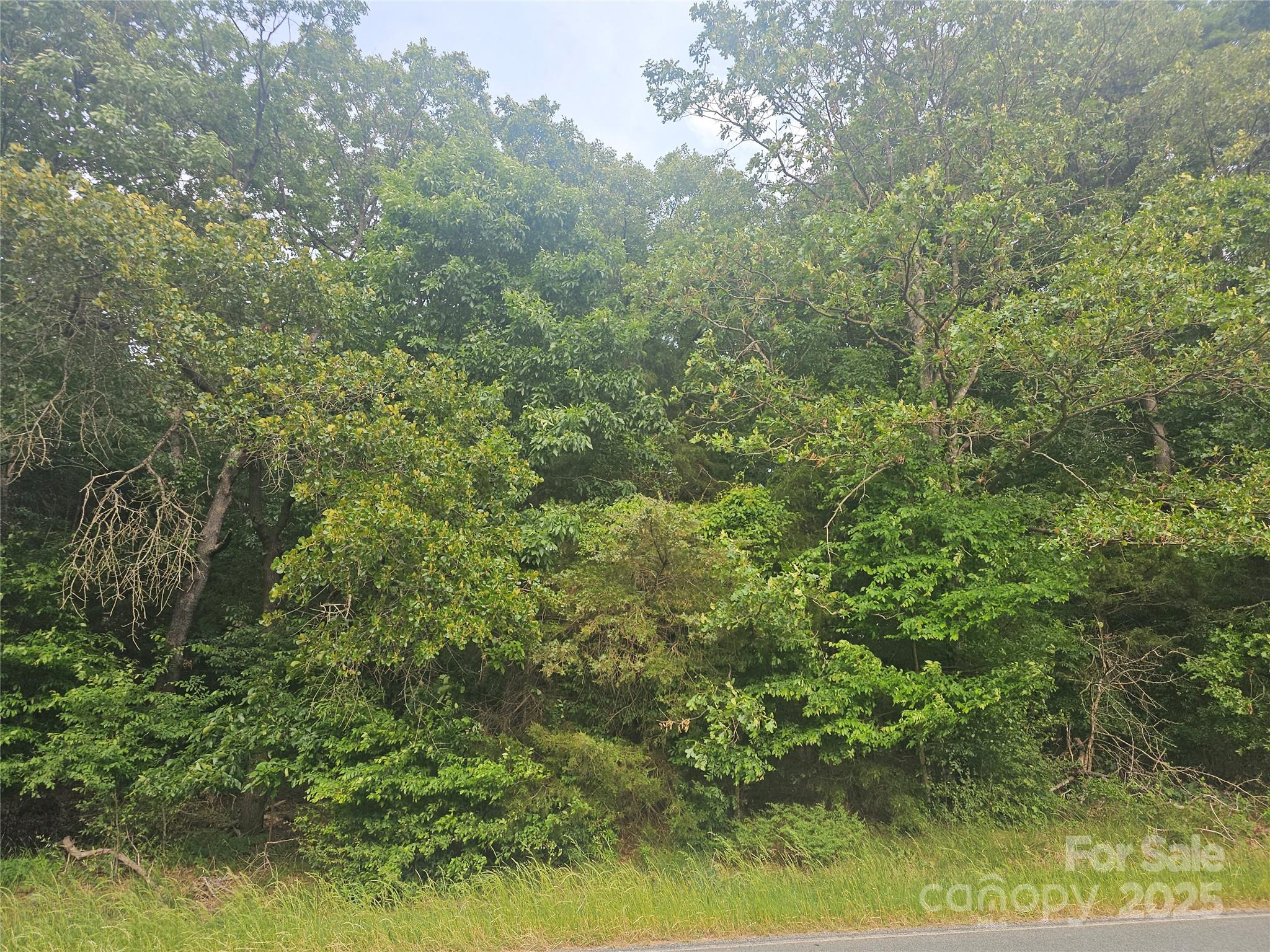 Acreage at 18AC WM Griffin Road, Monroe, photo 7 of 16