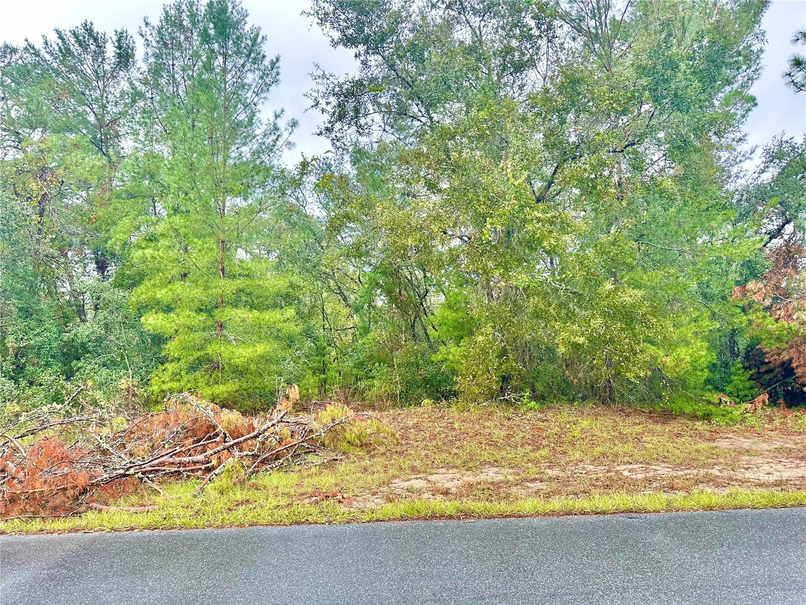 TBD SW 46TH TER #Lot 41