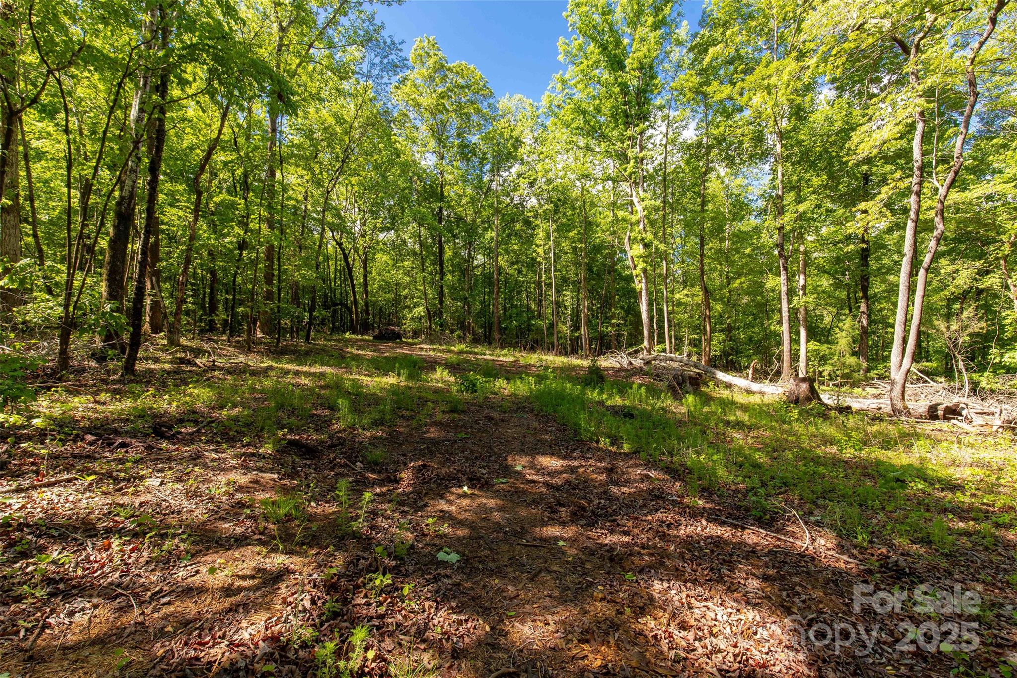Acreage at 5212 Star Magnolia Court, Clover, photo 2 of 15