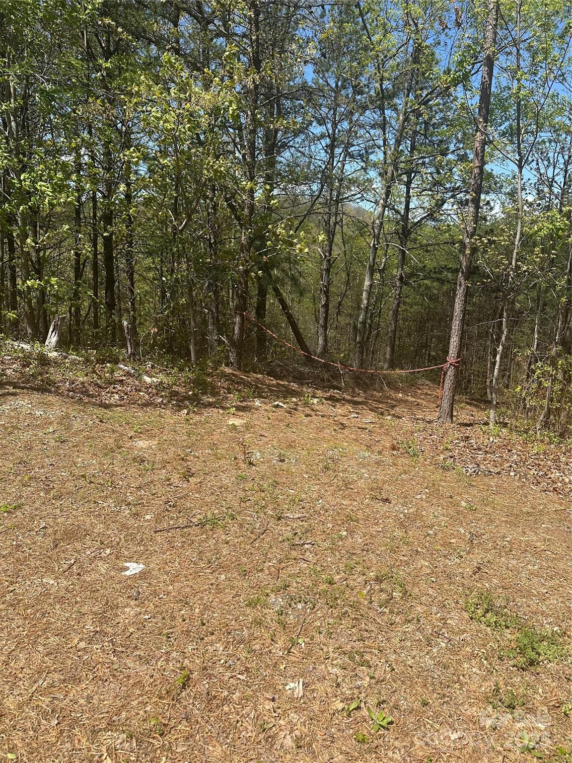 Acreage at 4027 Skyline Drive, Morganton, photo 3 of 5