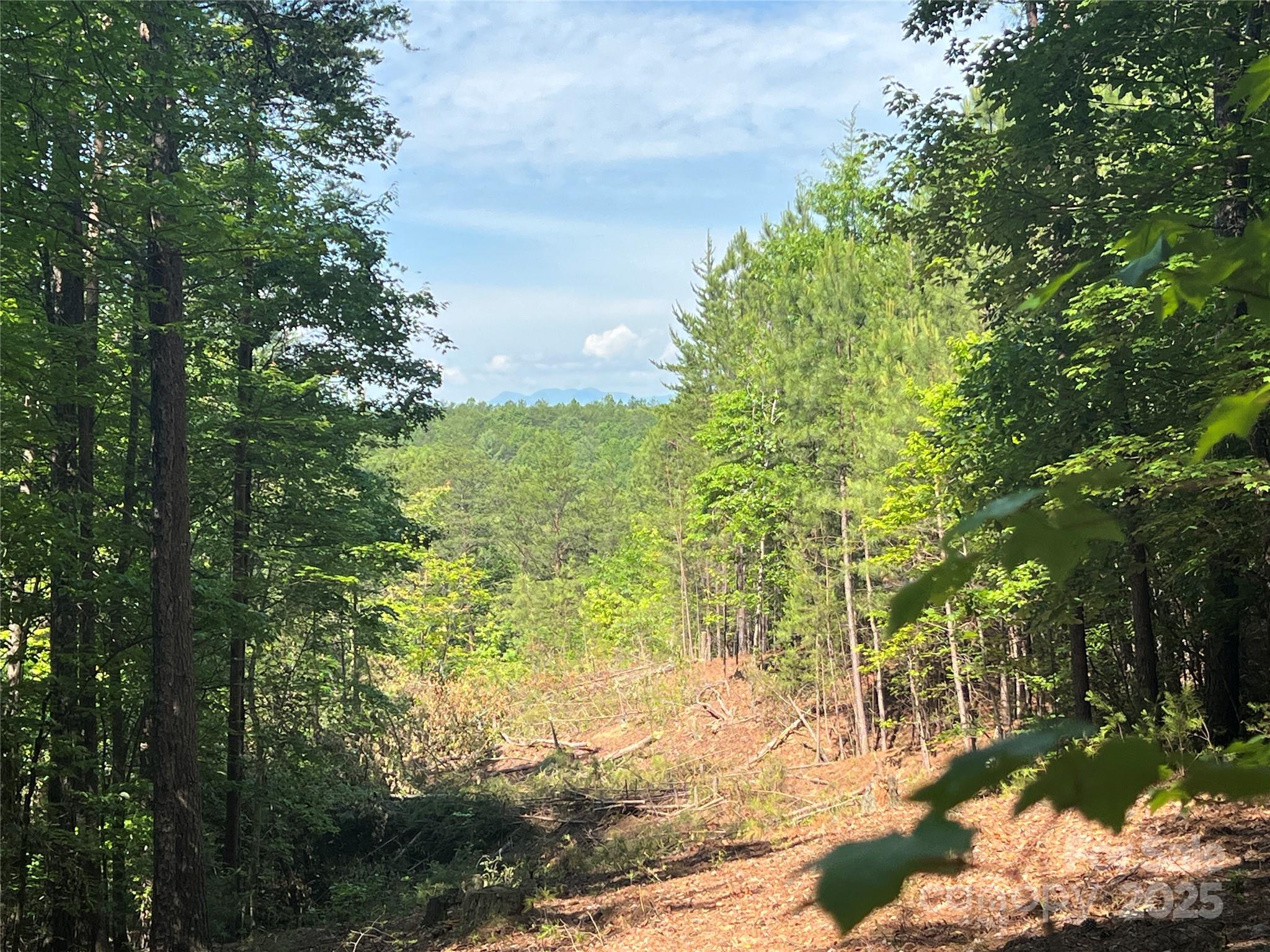 Lot at 0 South Mountain Drive, Nebo, photo 3 of 31